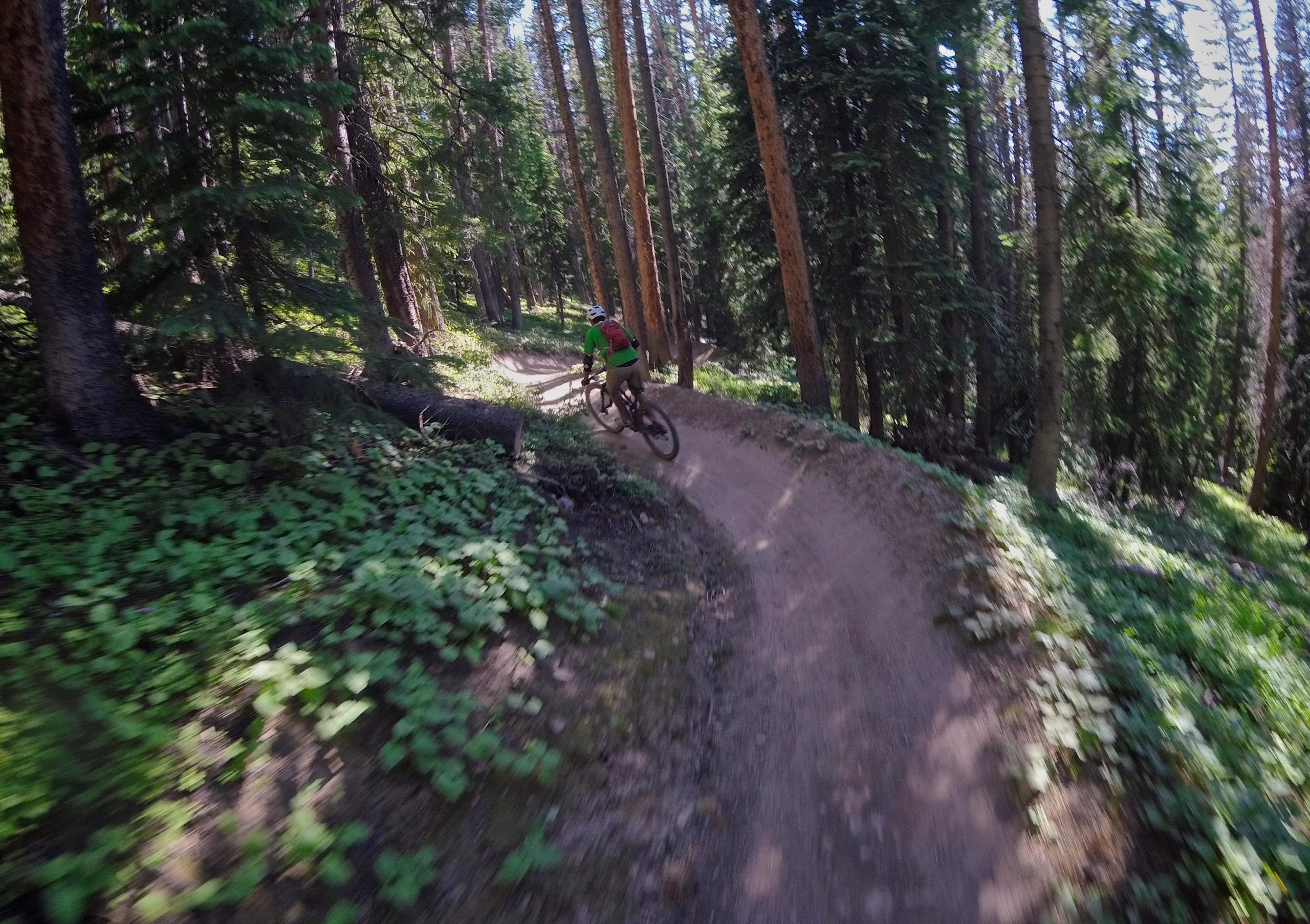 A mountain biker navigates a winding dirt trail surrounded by tall pine trees and lush greenery in a forested area, with sunlight filtering through the branches. Vail Mountain Bike Park mountain bike trail.