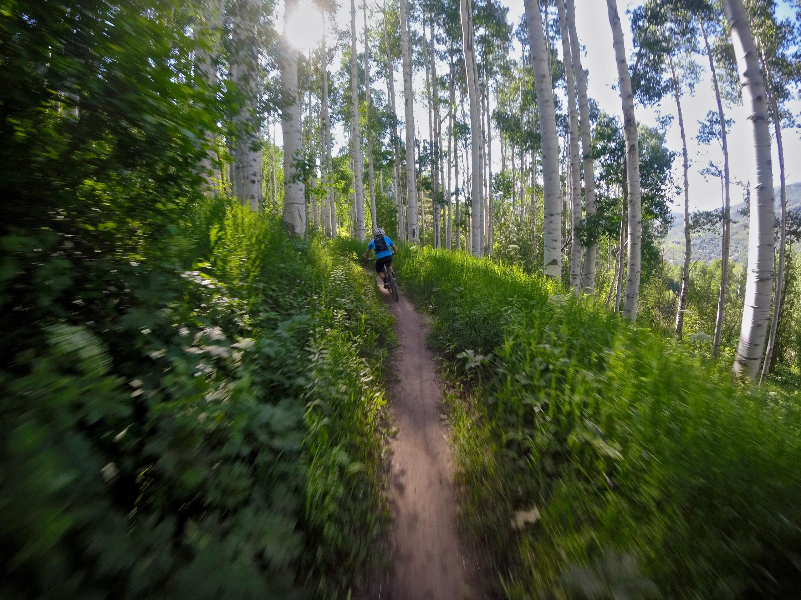 A mountain biker navigating a winding dirt trail surrounded by tall aspen trees and lush green foliage, with sunlight filtering through the leaves. The scene conveys a sense of speed and adventure in a natural setting. Vail Mountain Bike Park mountain bike trail.