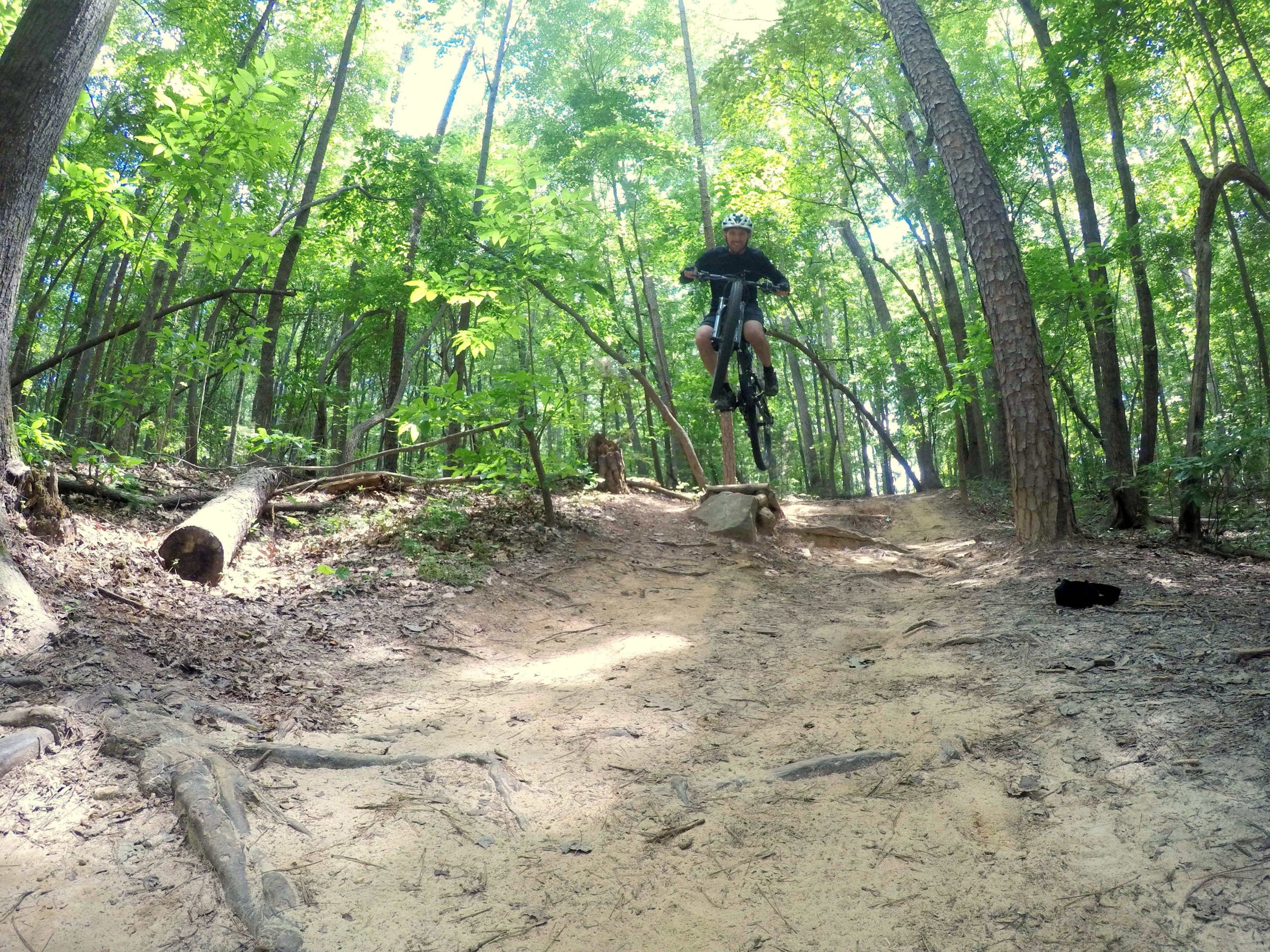 A mountain biker airborne over a small rock on a dirt trail surrounded by lush green trees in a forest. Sunlight filters through the leaves, creating a bright and vibrant atmosphere. Colonel Francis Beatty Park mountain bike trail.