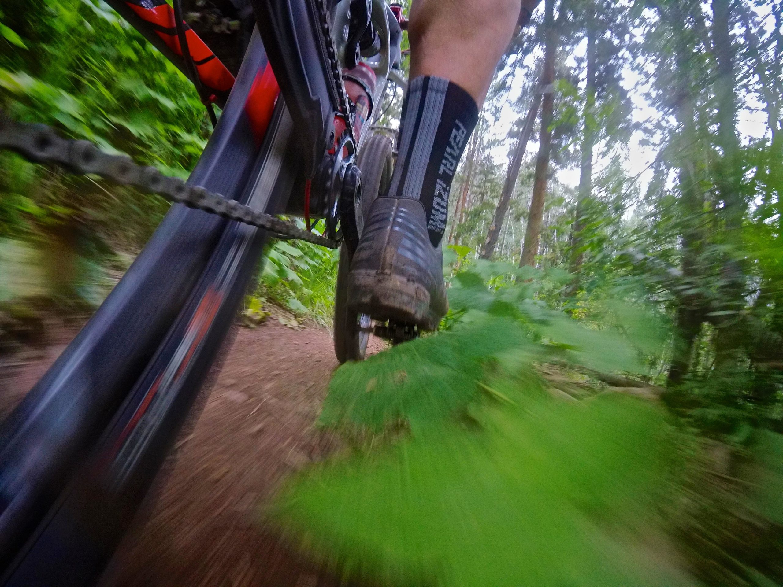 A close-up view of a mountain bike in motion on a dirt trail, featuring a cyclist's foot in a black and gray sock pressing down on the pedal. Surrounding greenery and blurred foliage indicate speed and a natural outdoor environment. Beaver Creek Ski Resort mountain bike trail.