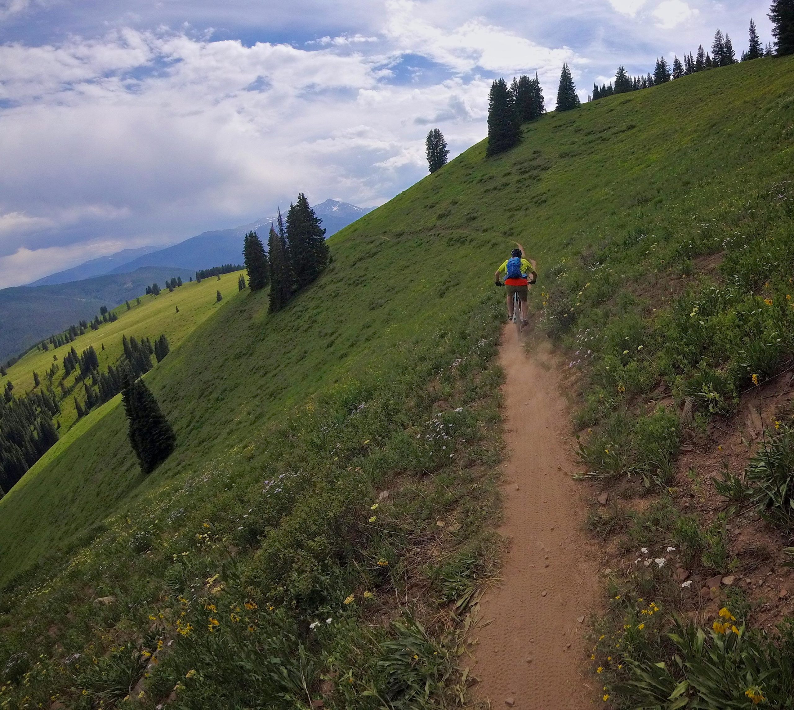A mountain biker descends a grassy and winding pathway through a vibrant green hillside, with trees dotting the landscape and mountains visible in the background. The sky is partly cloudy, adding a dynamic backdrop to the outdoor scene. Vail Mountain Bike Park mountain bike trail.