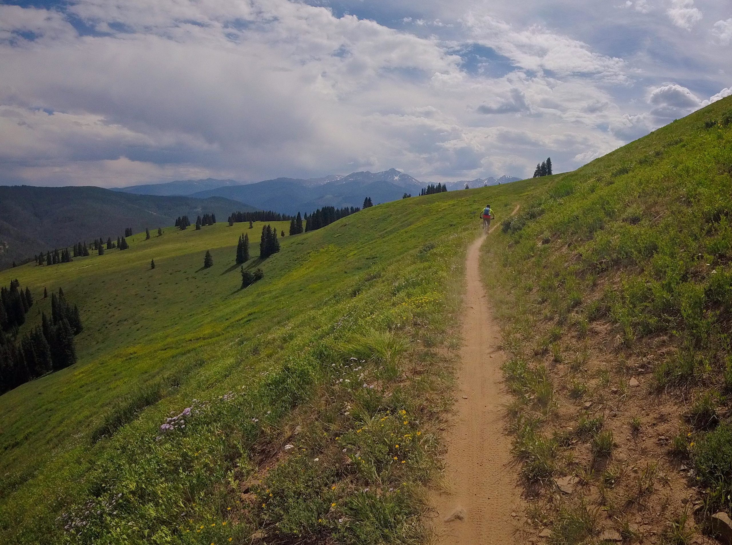 A scenic hiking trail winding through a lush green landscape, with the silhouette of distant mountains under a partly cloudy sky. A hiker can be seen walking along the path, surrounded by dense trees on one side and vibrant wildflowers dotting the grass. Vail Mountain Bike Park mountain bike trail.
