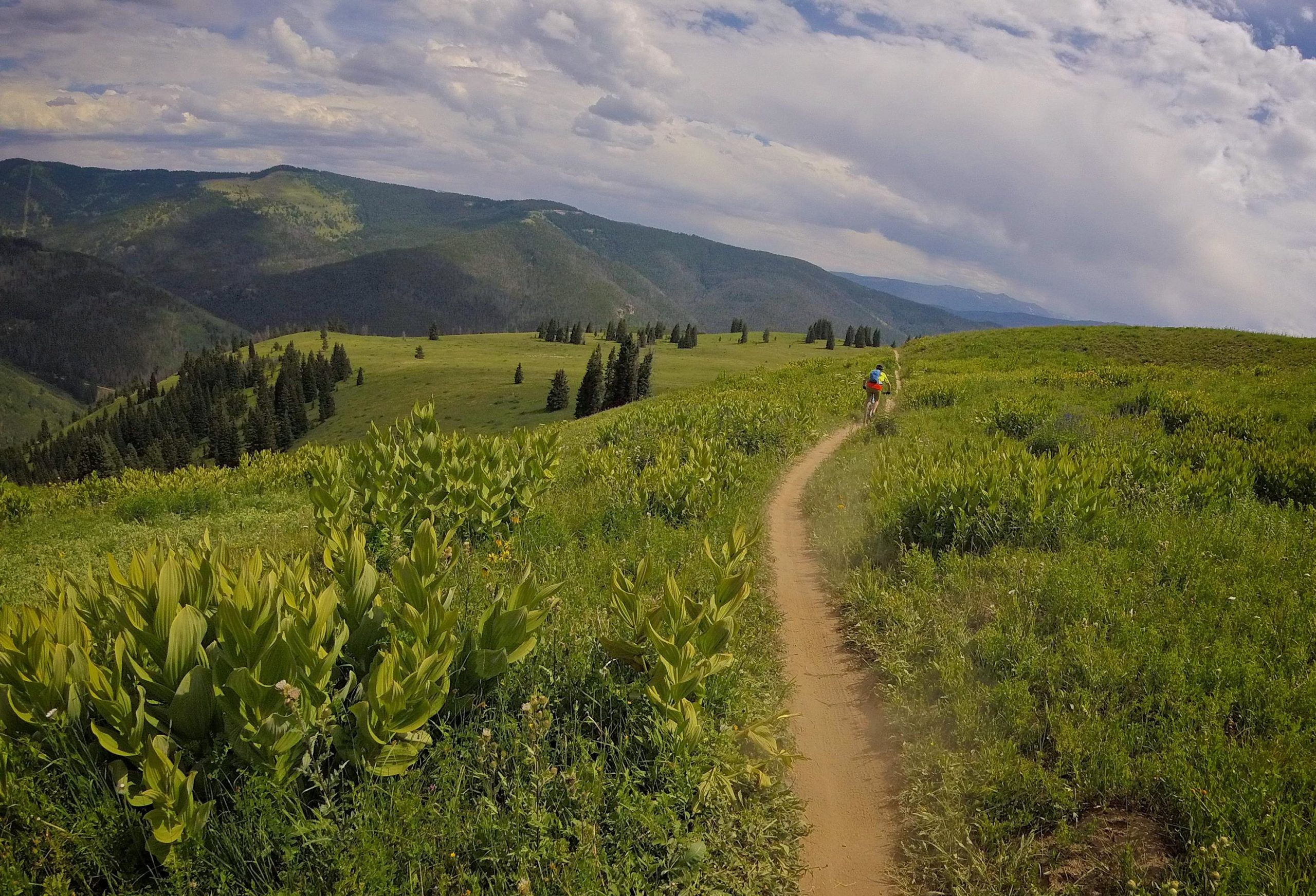 A scenic image of a dirt trail winding through lush green fields and rolling hills, with a cyclist in a colorful outfit riding in the distance. The backdrop features mountains under a partly cloudy sky. Vail Mountain Bike Park mountain bike trail.