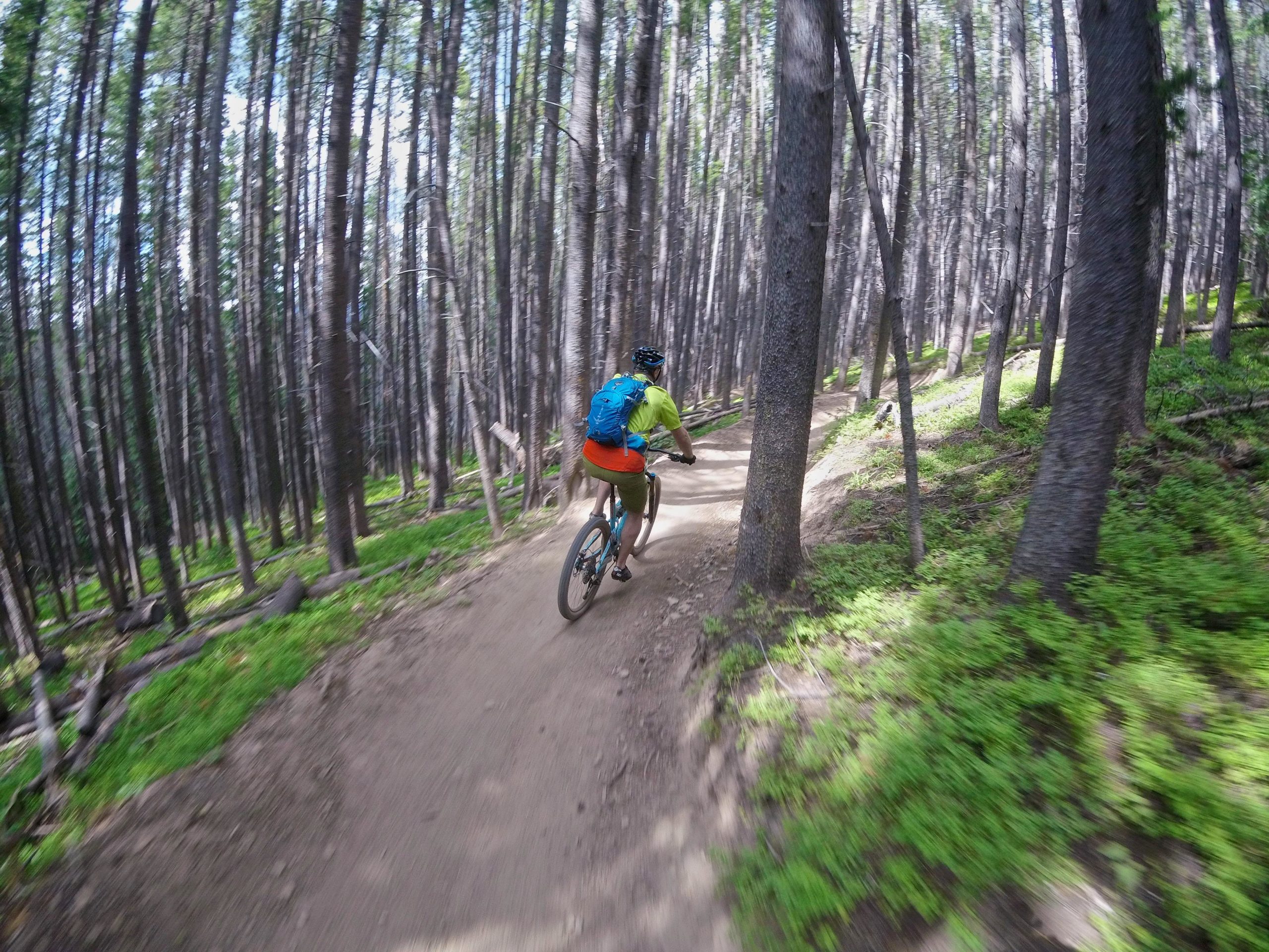 A person riding a mountain bike on a dirt trail through a dense forest, surrounded by tall trees and patches of green vegetation. The cyclist is wearing a helmet and a bright outfit, with a backpack visible on their back. The path curves ahead, creating a sense of movement and adventure. Vail Mountain Bike Park mountain bike trail.