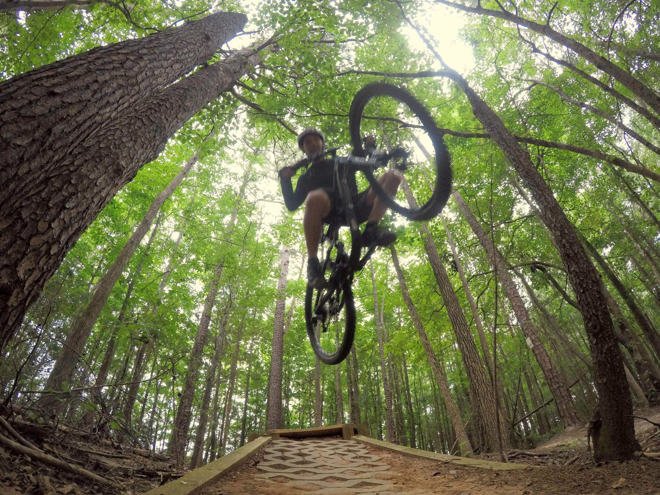 A mountain biker performing a stunt in mid-air over a wooden ramp, surrounded by tall trees and lush green foliage in a forested area. The viewpoint captures the action from a low angle, emphasizing the height of the jump and the dynamic movement of the rider. Colonel Francis Beatty Park mountain bike trail.