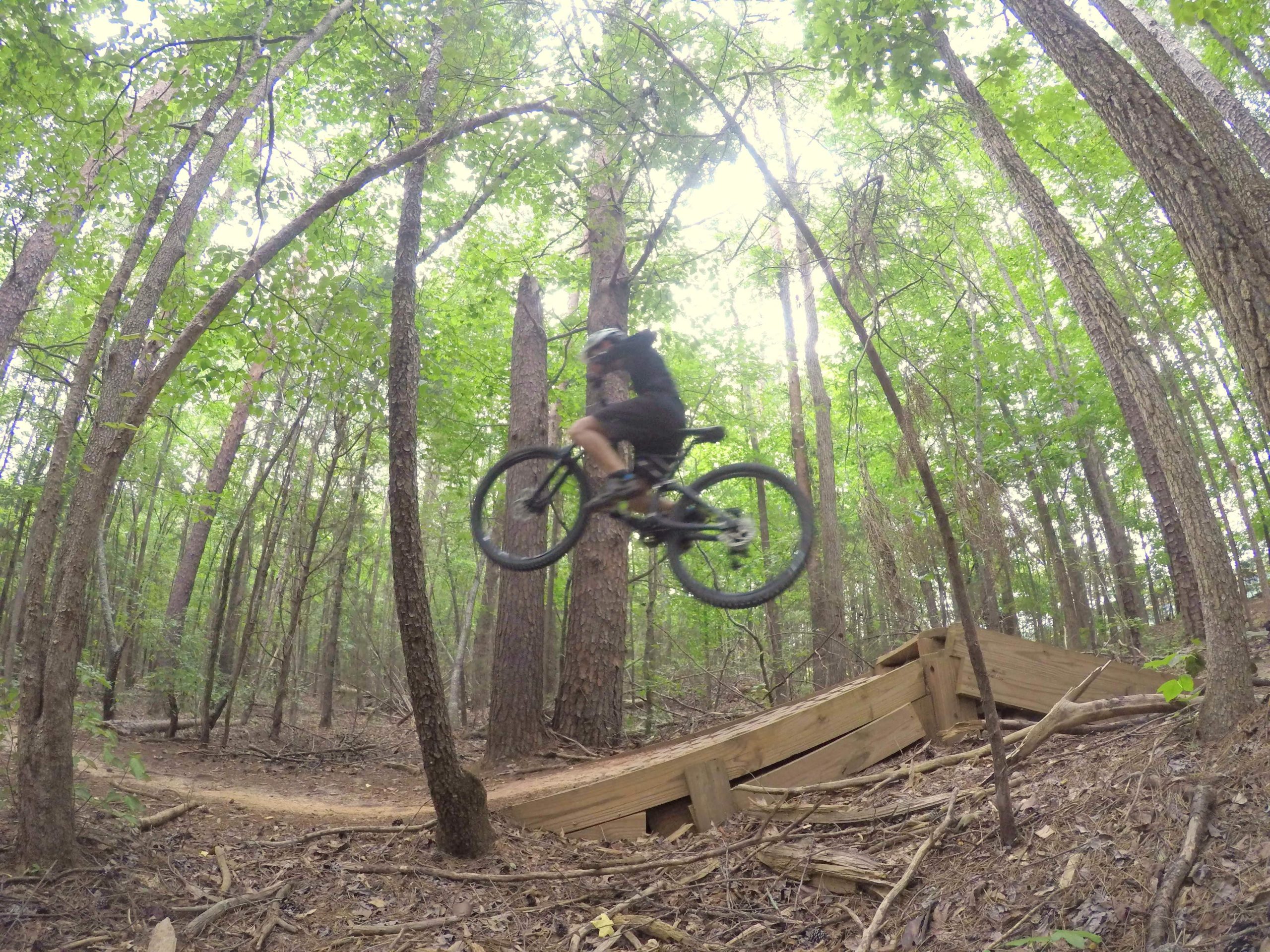 A person riding a mountain bike is airborne above a wooden ramp in a dense forest. Tall trees with green foliage surround the scene, illustrating an outdoor biking trail. Colonel Francis Beatty Park mountain bike trail.