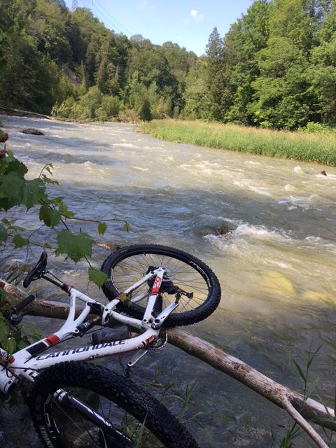 A mountain bike resting against a log near a gently flowing river, surrounded by lush greenery and trees. The scene captures a serene natural environment, with the water reflecting the blue sky and distant hills in the background. Bayfield river mountain bike trail.