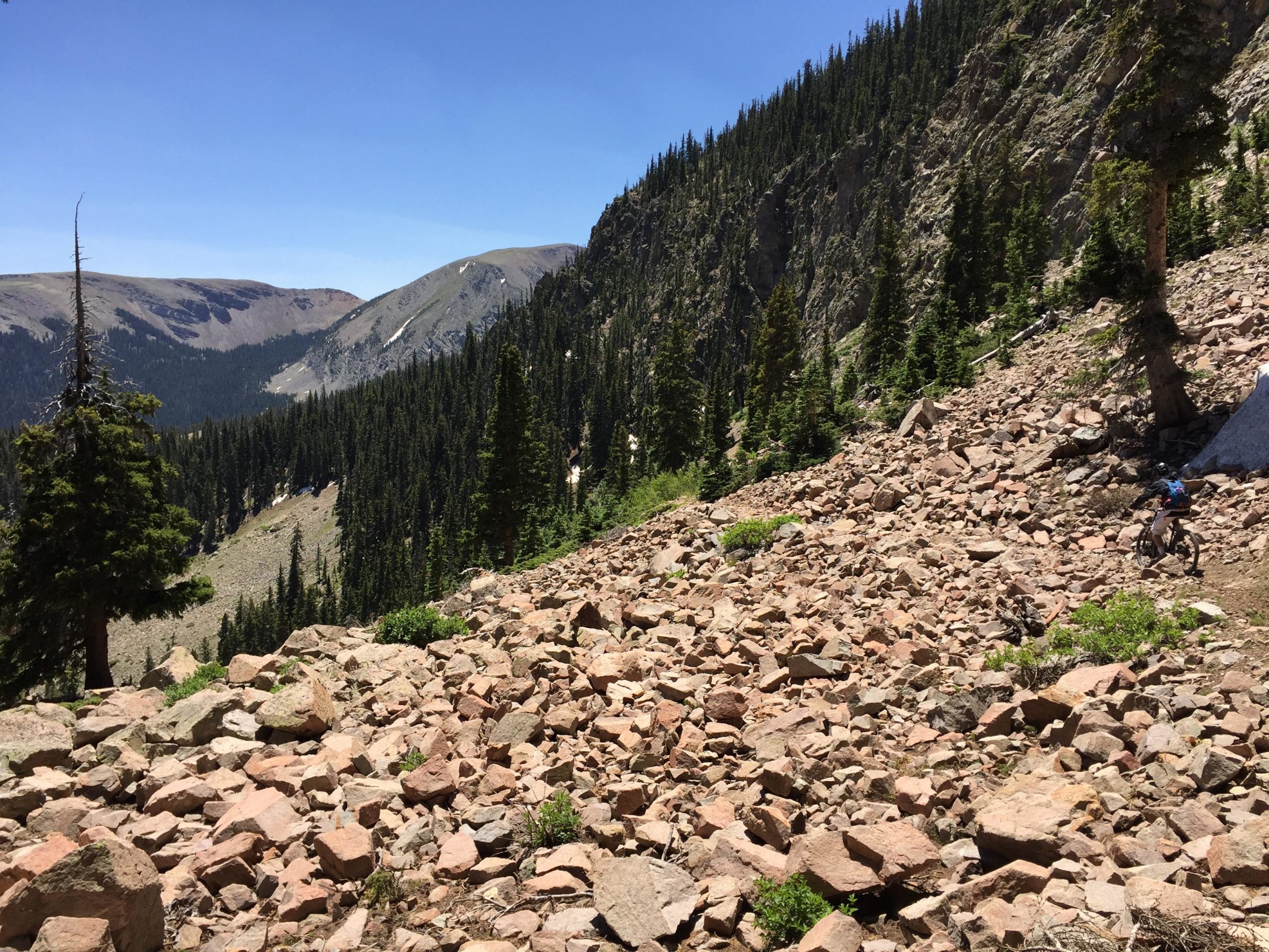 A rocky mountain trail lined with pine trees, leading to a vast landscape of mountains in the distance under a blue sky. A cyclist is navigating the stony terrain on the right side of the image. Lost Lake to East Fork Loop mountain bike trail.