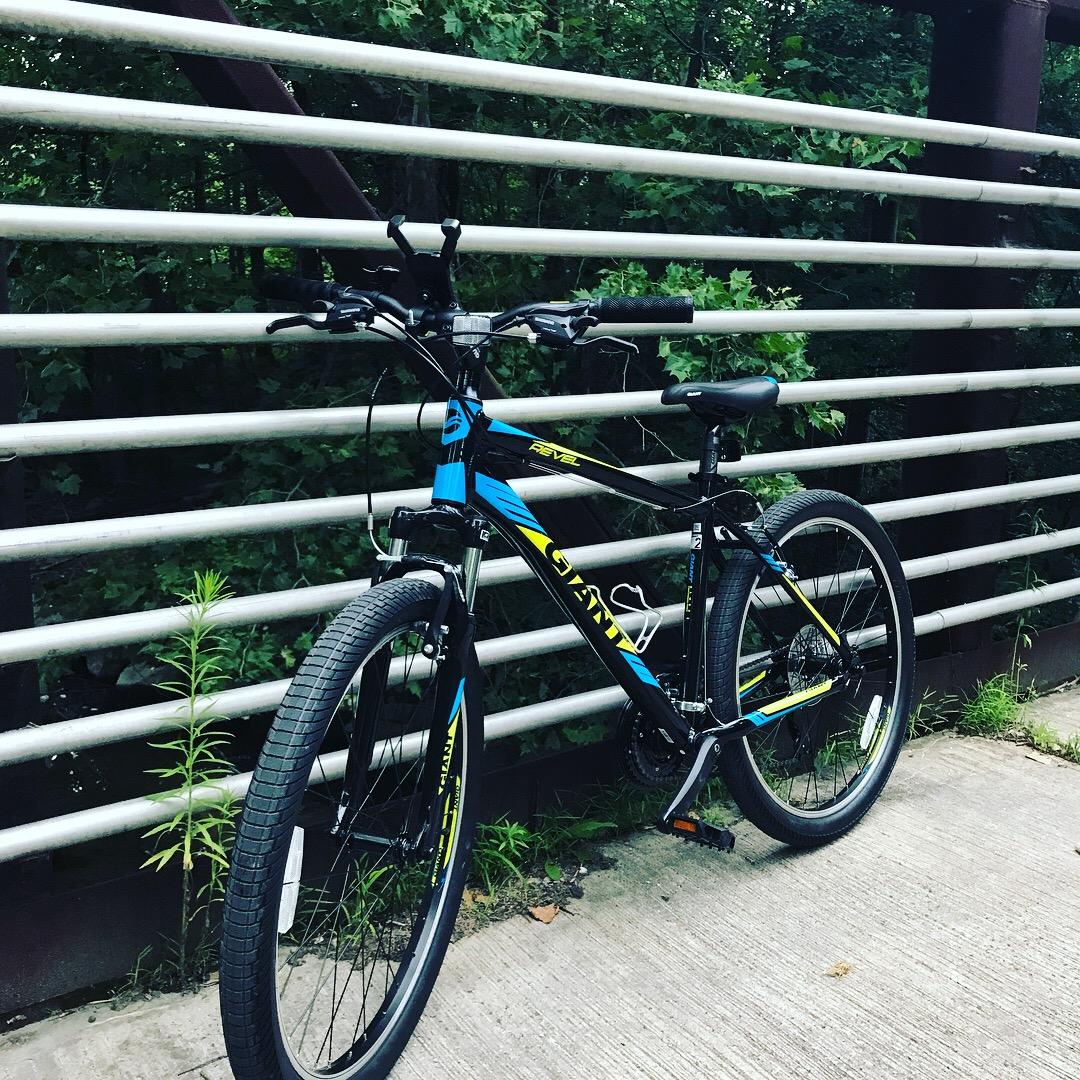 Giant Revel 2: A blue and black mountain bike leaning against a gray railing, surrounded by lush greenery. The bike features large tires and a sporty design, set on a paved pathway.