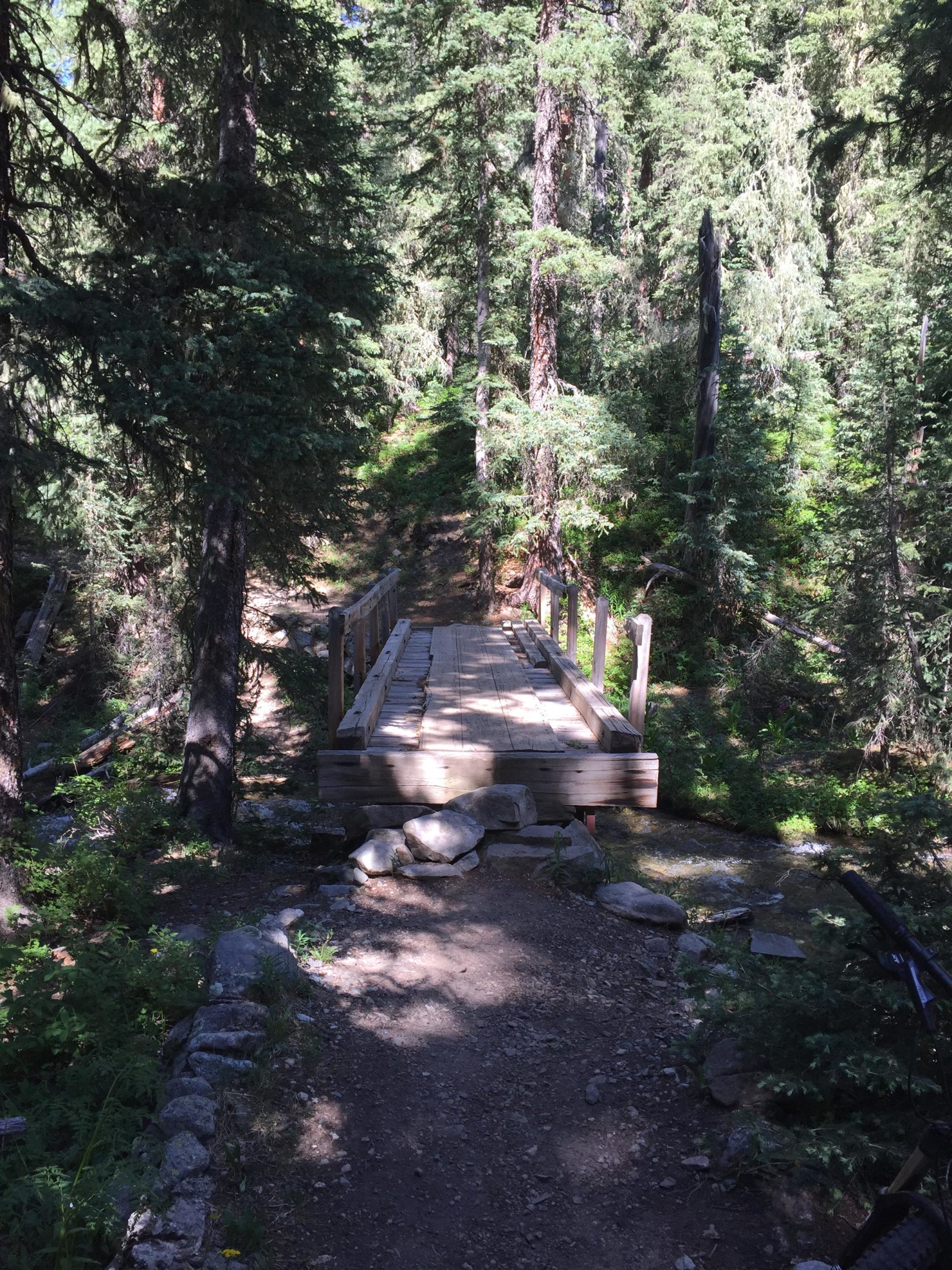 Wooden bridge crossing a small stream on a forest path, surrounded by tall, lush trees and greenery. Sunlight filters through the leaves, creating dappled shadows on the trail. Lost Lake to East Fork Loop mountain bike trail.