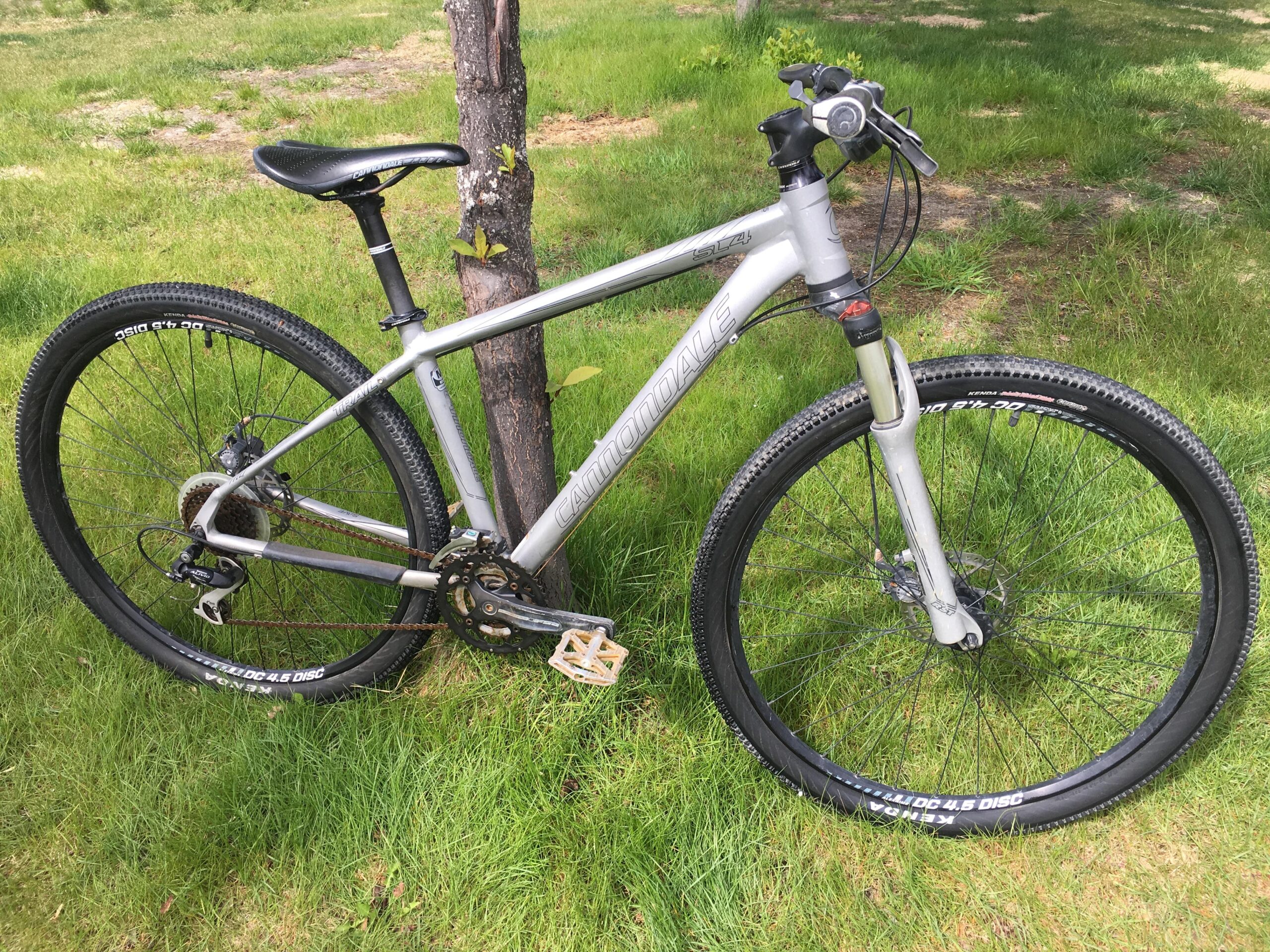 Kona Fire Mountain: A silver mountain bike leaning against a tree, positioned on green grass. The bike features a lightweight frame, thick tires suitable for off-road riding, and visible gears and brakes. The setting is outdoors, suggesting a natural environment for cycling.