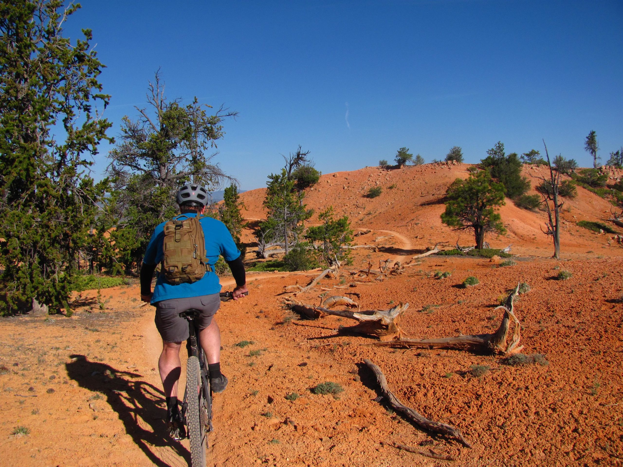 A person riding a mountain bike on a dirt trail through a landscape featuring reddish-orange soil, scattered trees, and hills under a clear blue sky. The cyclist, wearing a helmet and a blue shirt, is seen from behind, with a backpack visible. The terrain appears rugged and natural, reflective of an outdoor adventure setting. Thunder Mountain mountain bike trail.