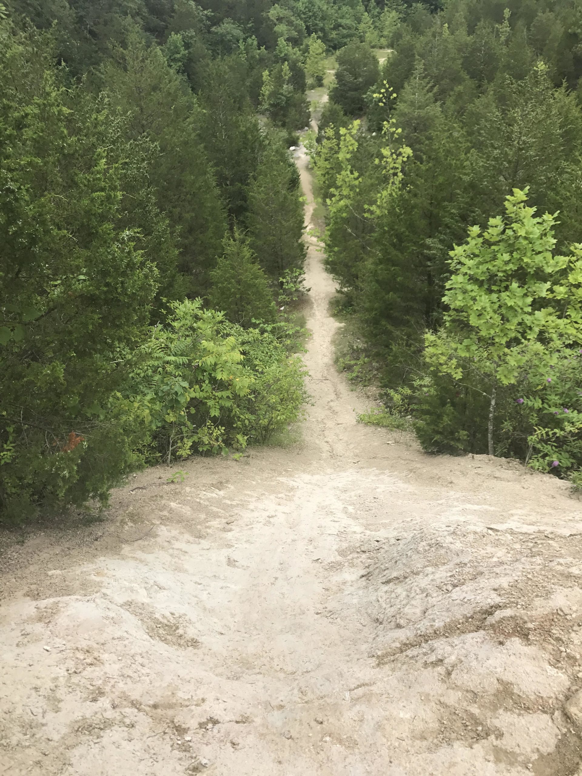 A sandy trail winding through dense green foliage, viewed from an elevated perspective. The path is flanked by tall trees, leading downward into the forest. Ijams Nature Centre mountain bike trail.