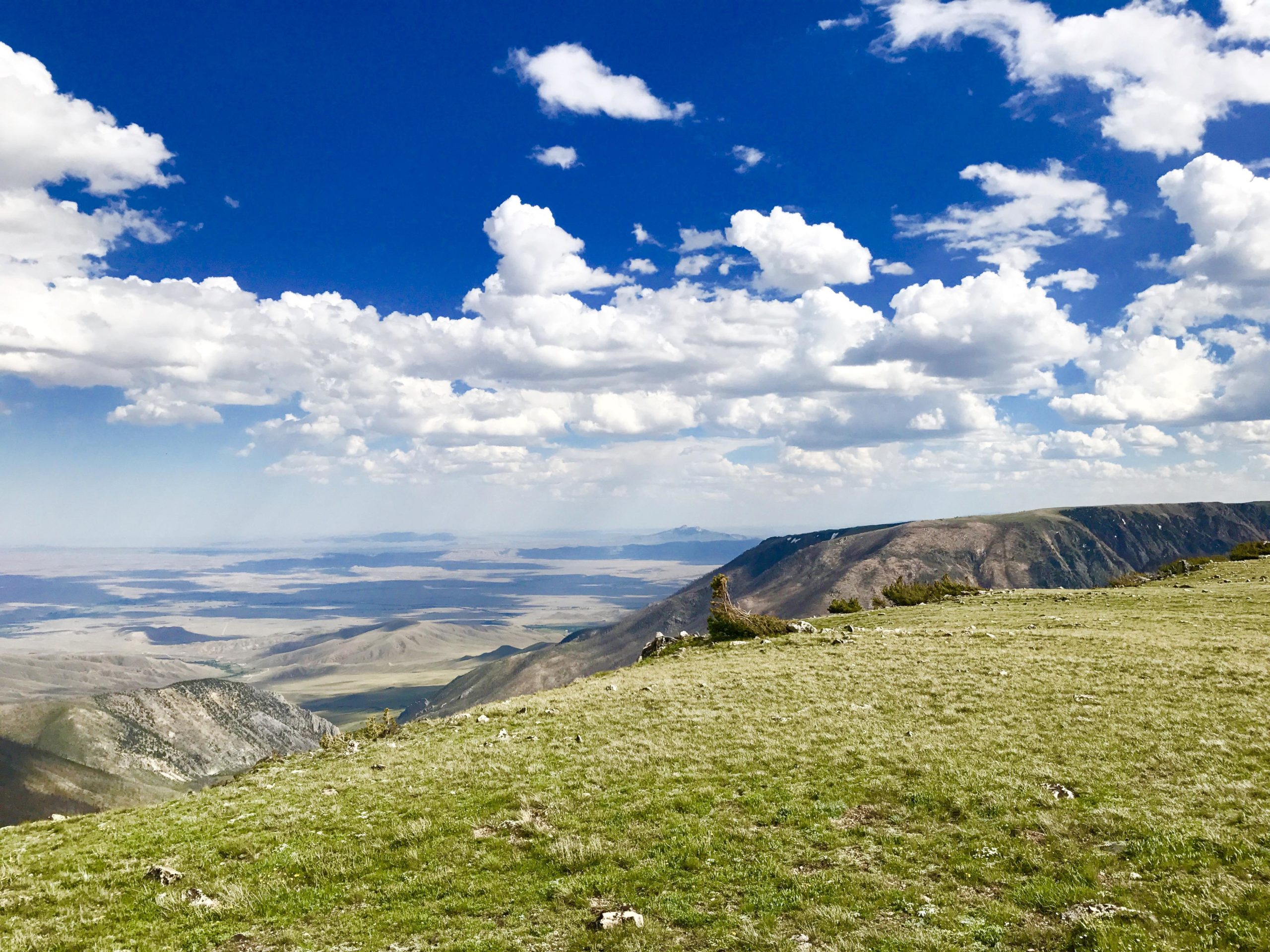 A panoramic view of rolling hills and valleys under a bright blue sky filled with white, fluffy clouds. The foreground features a grassy area with scattered rocks, while the distant landscape reveals mountains and open plains stretching far into the horizon. Line Creek Plateau mountain bike trail.