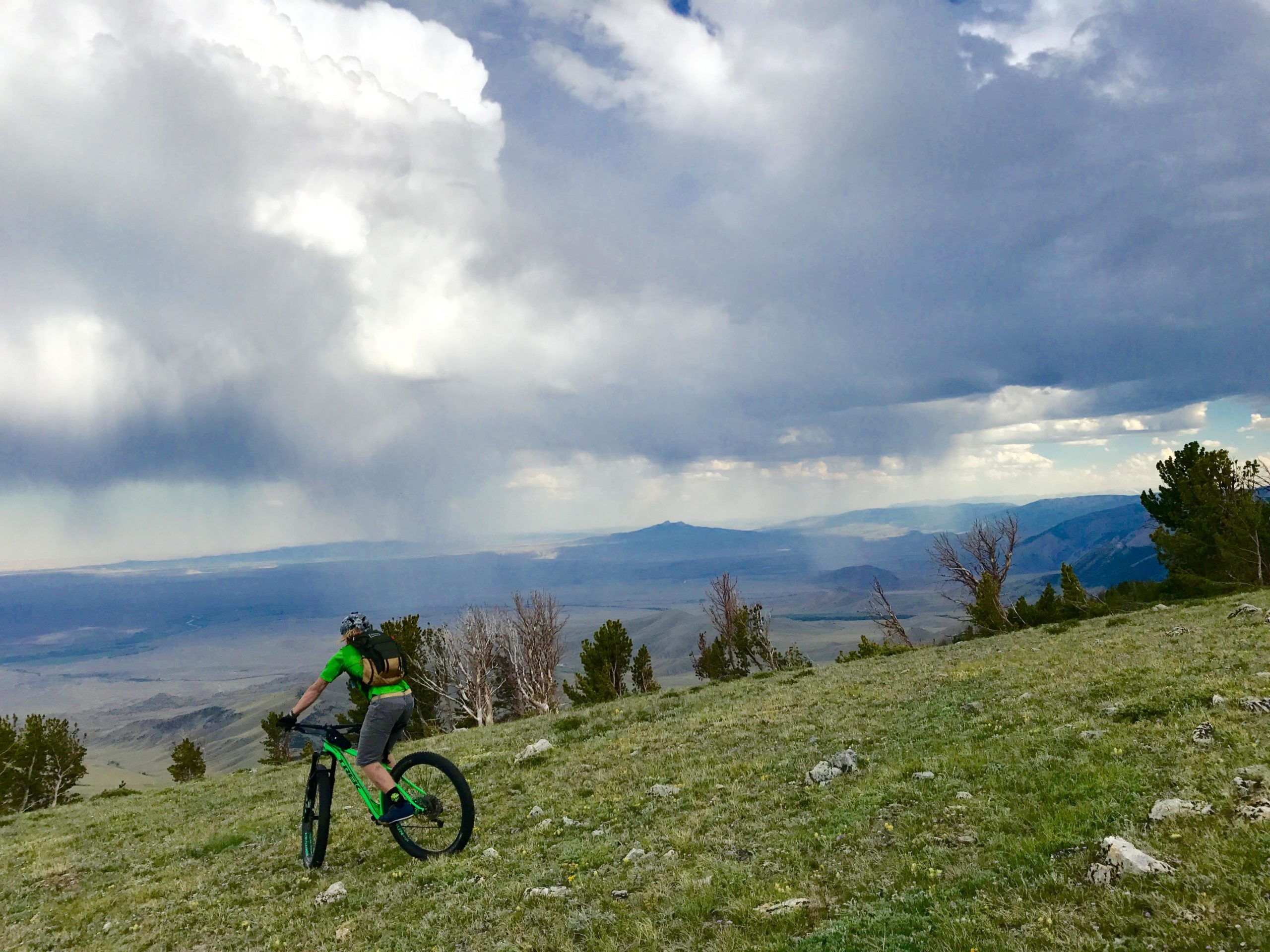 A mountain biker in a green shirt and gray shorts rides on a grassy hilltop, overlooking a vast valley with distant mountains under a cloudy sky. The scene captures a mix of sunlight and shadow as rain falls in the distance. Line Creek Plateau mountain bike trail.