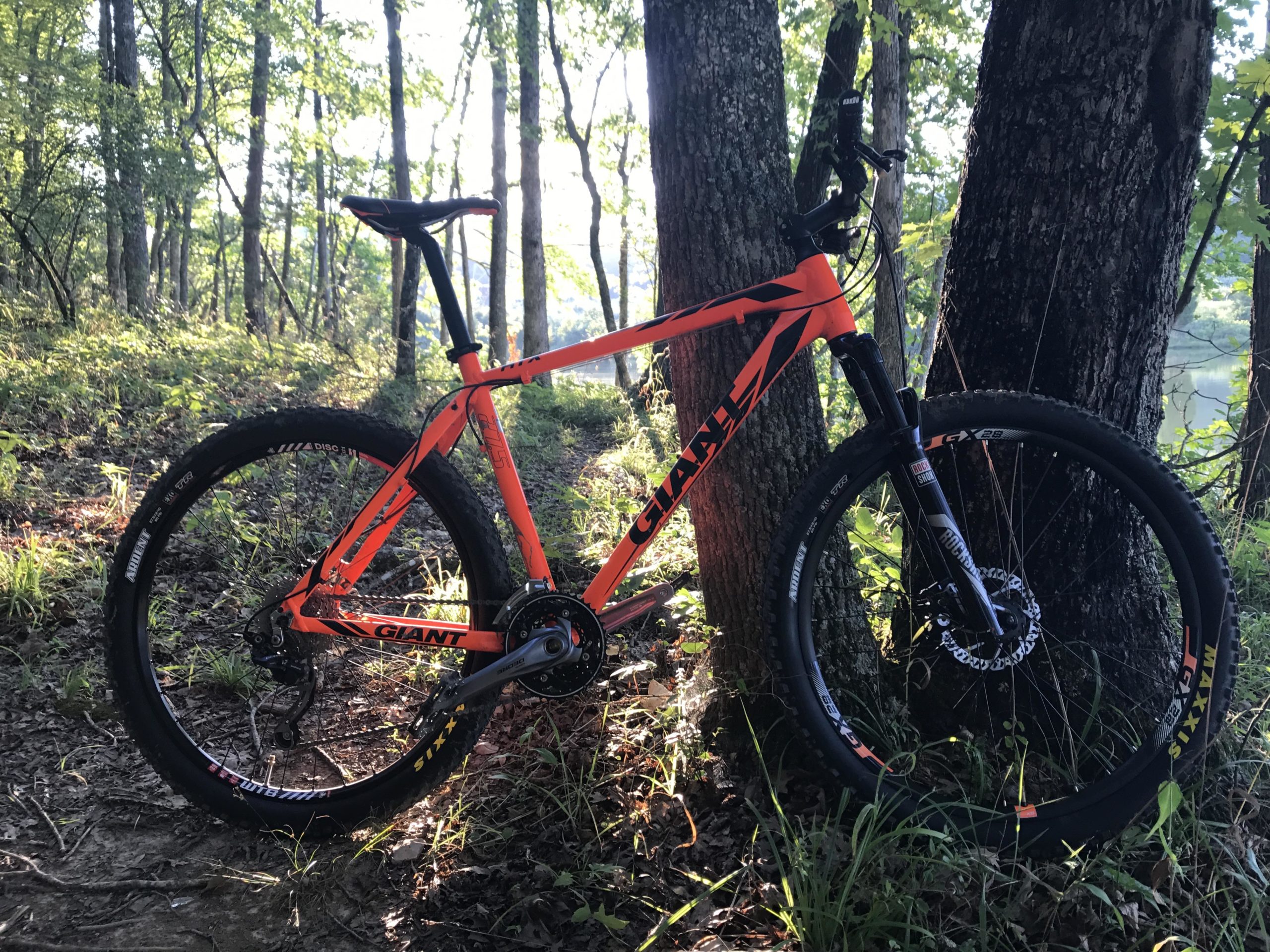 A bright orange mountain bike leaning against two trees in a wooded area, surrounded by green foliage and sunlight filtering through the leaves. The bike features thick tires and a sturdy frame, suitable for off-road trails. Haw Ridge Park mountain bike trail.