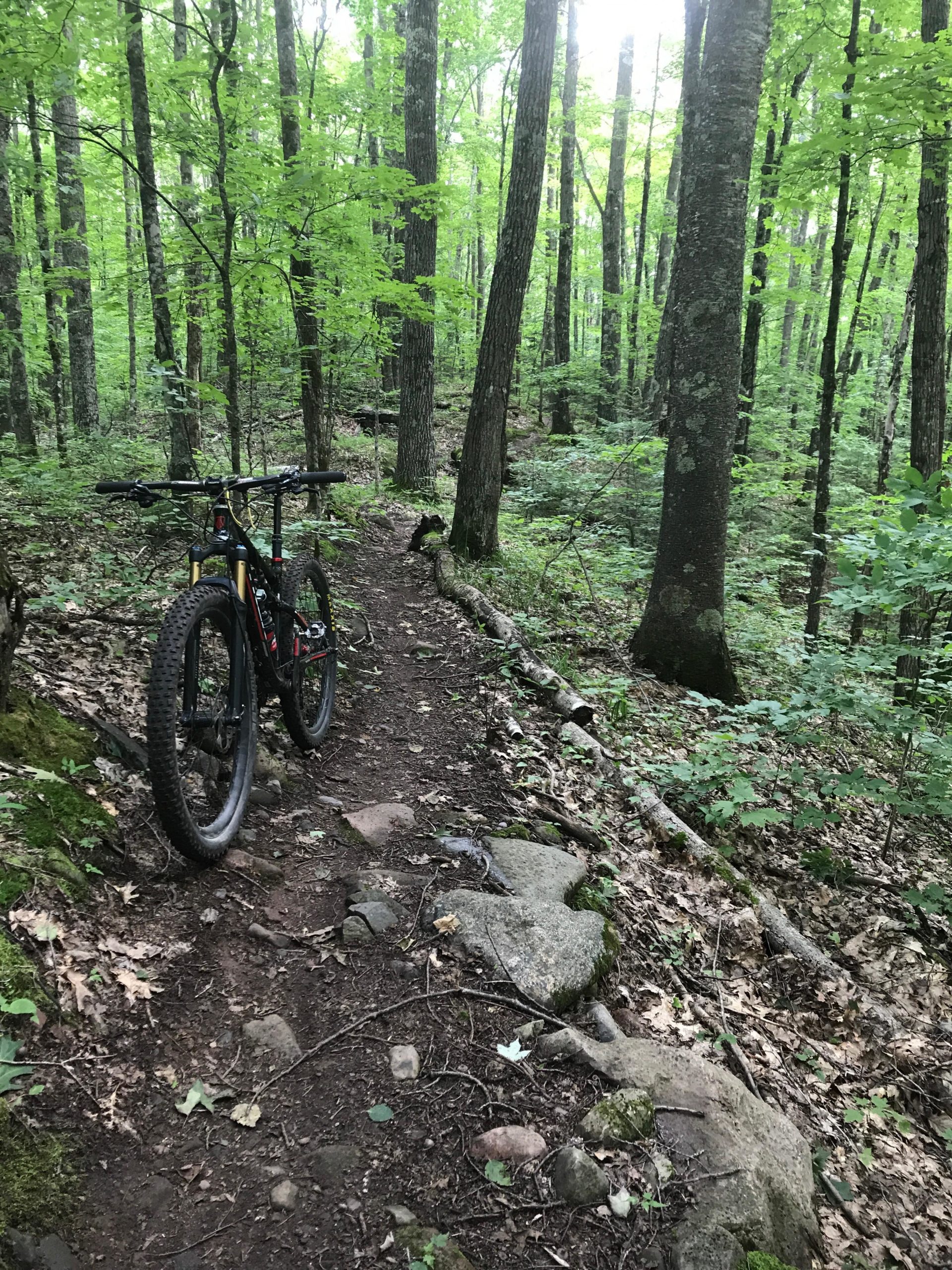 A mountain bike rests beside a narrow, winding dirt trail surrounded by tall trees with vibrant green leaves. The forest floor is scattered with rocks and fallen branches, creating a natural, rugged atmosphere. Rock Lake mountain bike trail.