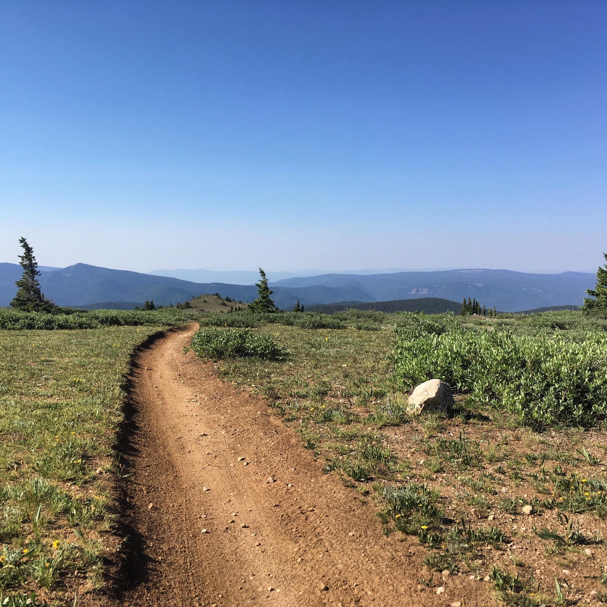 A winding dirt path leads through a grassy landscape, dotted with small rocks and shrubs. In the background, rolling hills fade into the horizon under a clear blue sky. Monarch Crest Trail mountain bike trail.