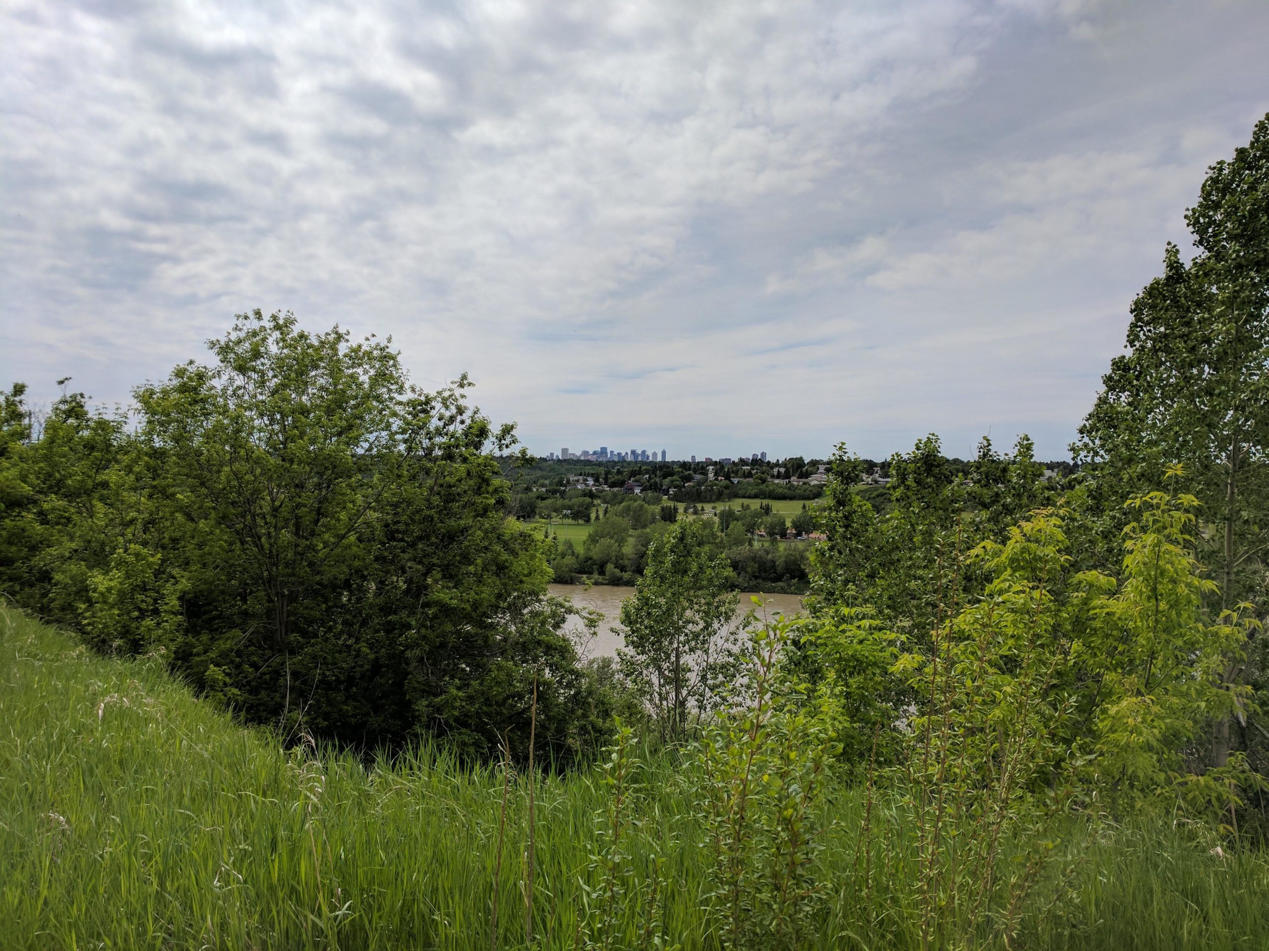A scenic view from a hillside featuring lush green trees and grass in the foreground, overlooking a winding river and a city skyline in the distance under a partly cloudy sky. Strathcona Science Park mountain bike trail.