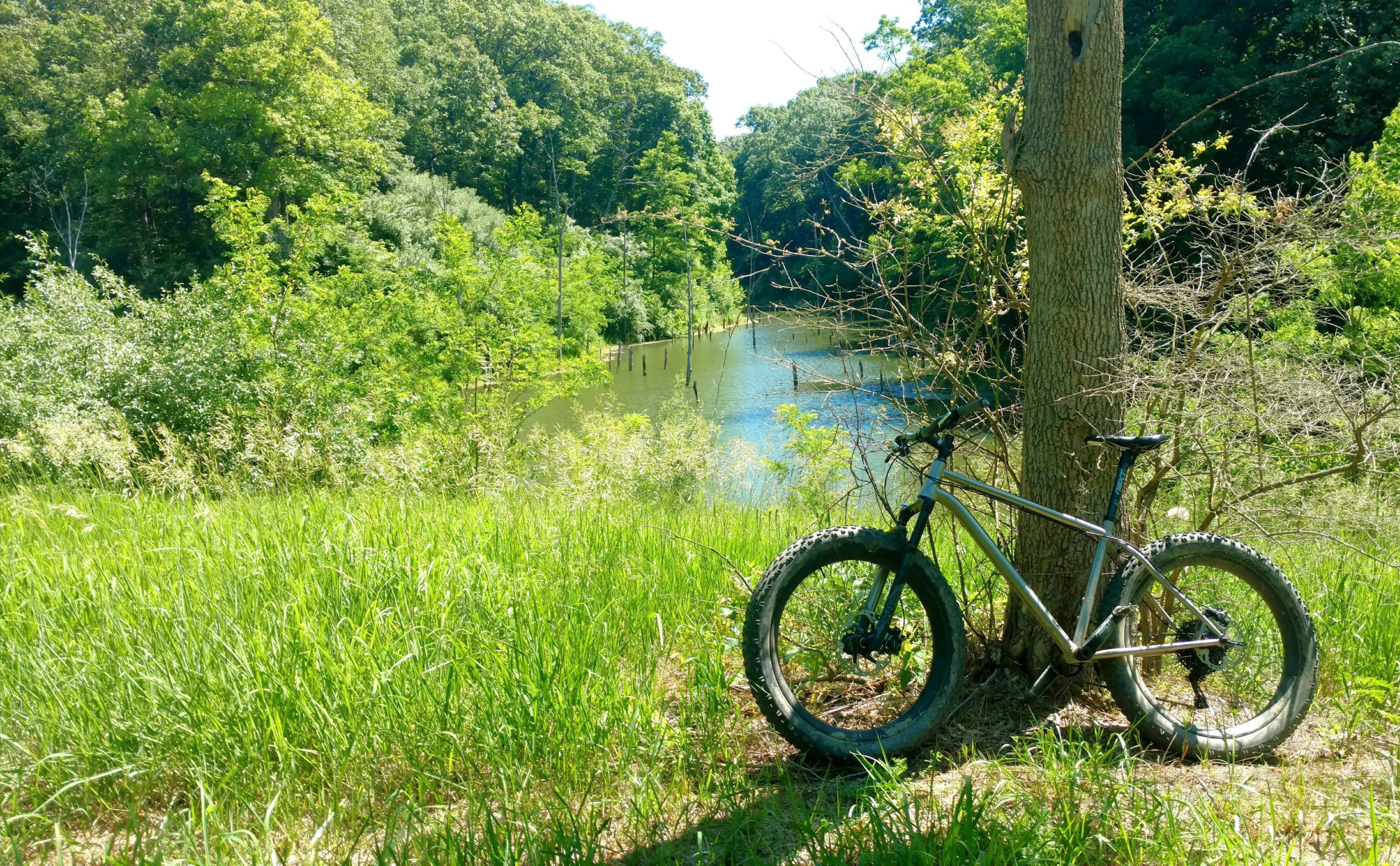 A mountain bike leaning against a tree beside a calm, reflective pond surrounded by lush greenery and tall grass on a sunny day. Kickapoo mountain bike trail.