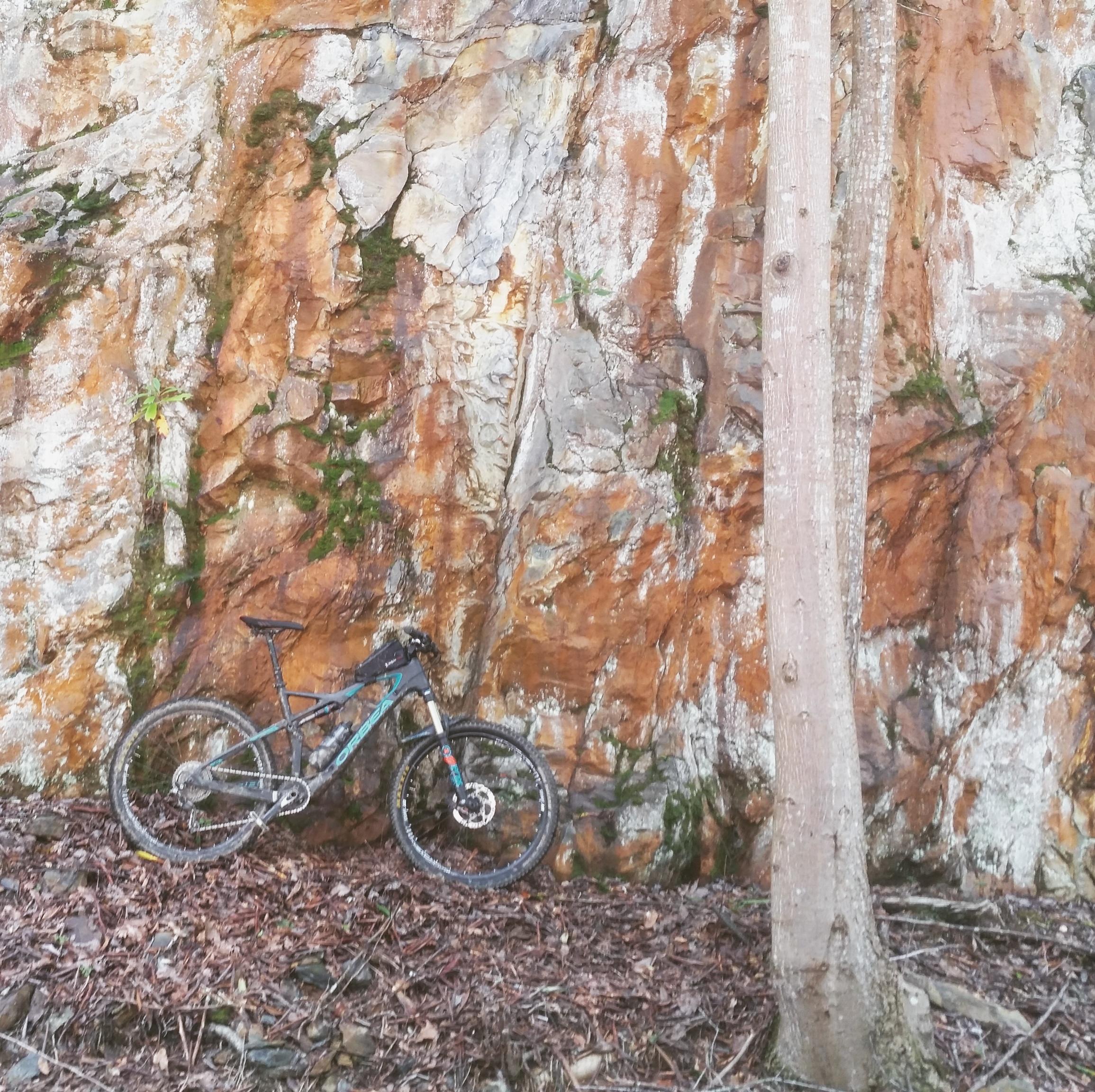 A mountain bike resting against a rocky wall covered in moss and earthy tones, with a tree trunk visible to the right and fallen leaves scattered on the ground. Tanasi Trail System mountain bike trail.