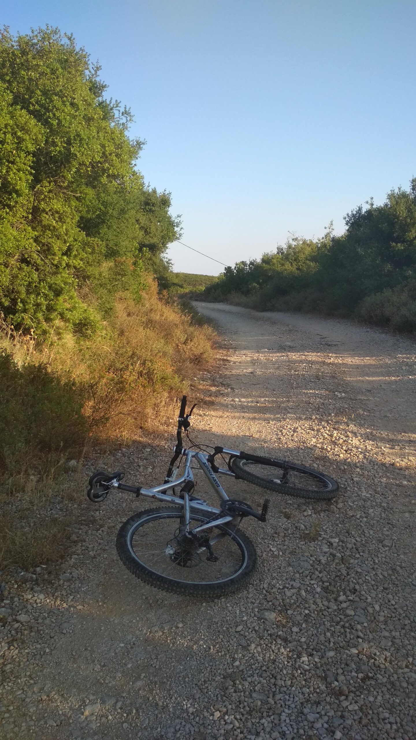 Gary Fisher HiFi: A mountain bike lies on a gravel path surrounded by lush greenery and trees under a clear blue sky.