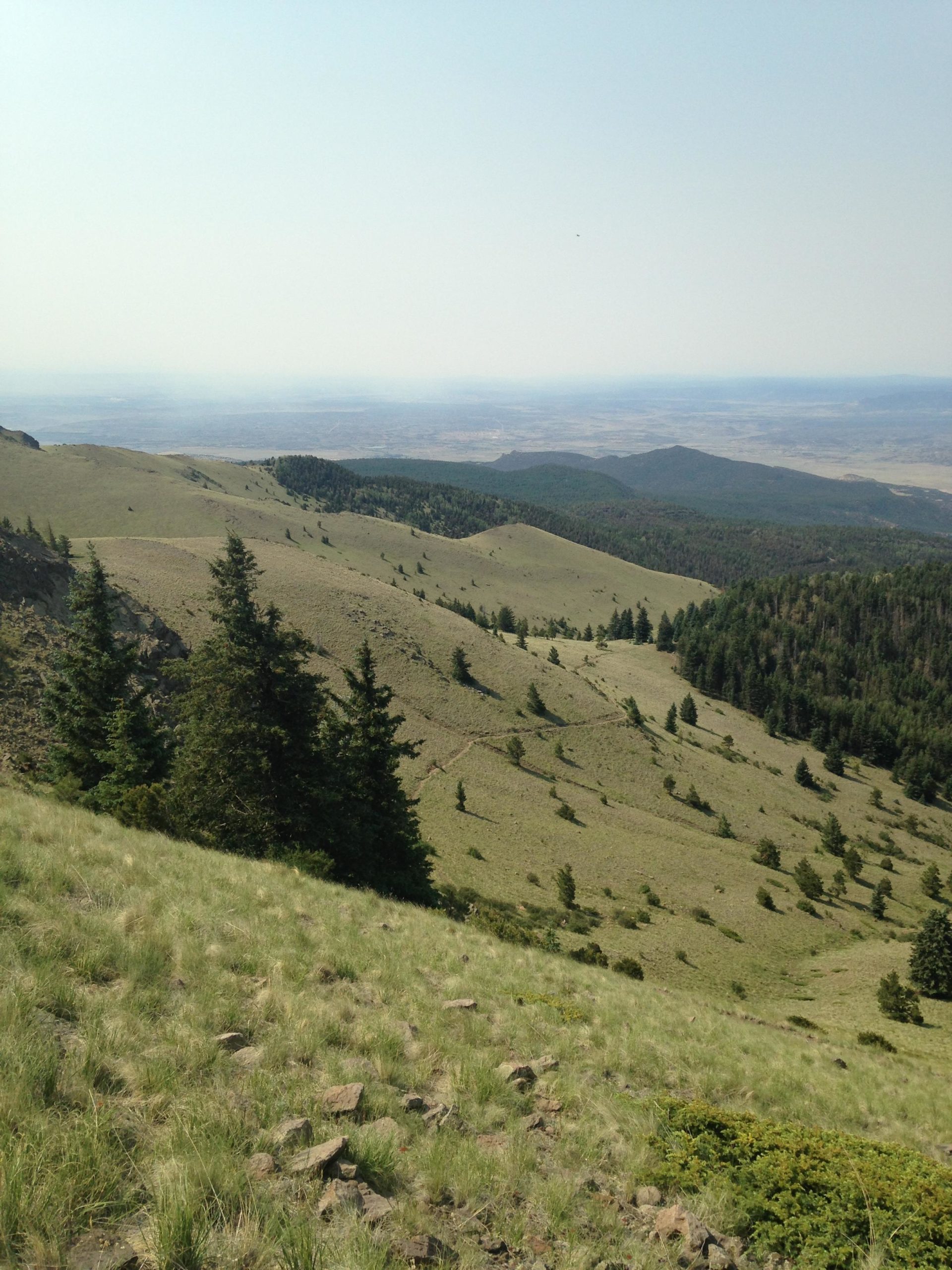 A scenic view of rolling hills covered in green grass and scattered trees under a clear sky. The landscape stretches into the distance, showing a mountainous area with a slight haze, suggesting a warm day. Mount Taylor Downhill mountain bike trail.