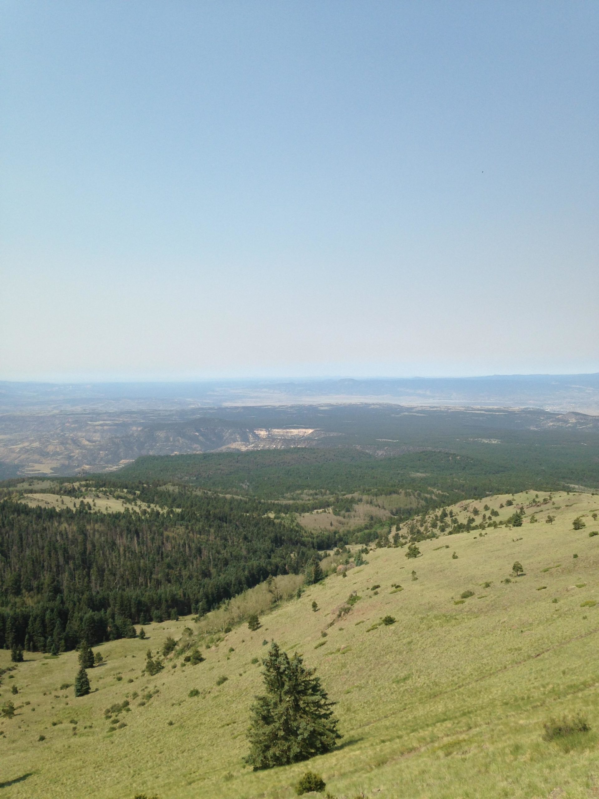 A panoramic view of a lush green landscape featuring rolling hills, scattered trees, and a distant mountain range under a clear blue sky. The foreground showcases grassy slopes, while the background reveals a hazy horizon extending into the valley below. Mount Taylor Downhill mountain bike trail.
