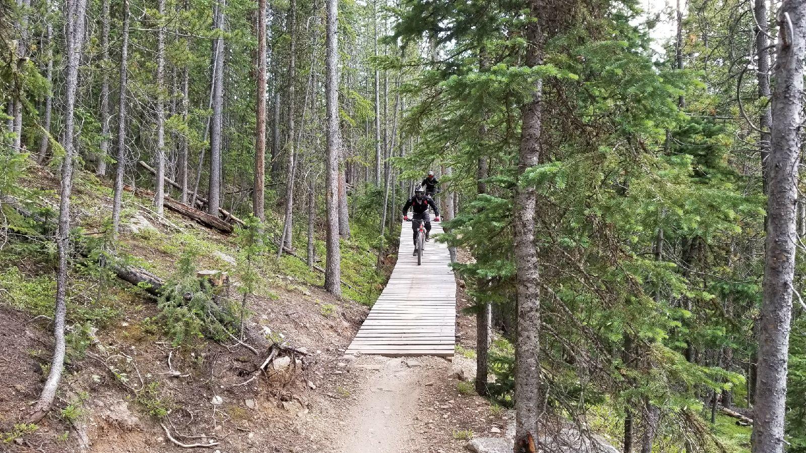 A mountain biker riding along a wooden plank bridge through a dense forest of tall trees and greenery. Green World mountain bike trail.