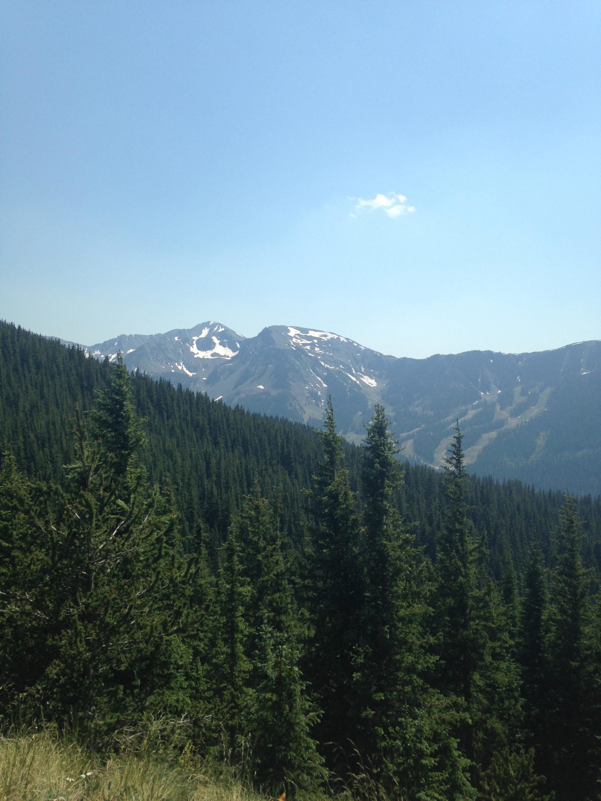 A panoramic view of mountains in the distance, partially covered with snow, rising over a lush green forest of coniferous trees under a clear blue sky. Frazer Mountain Road mountain bike trail.