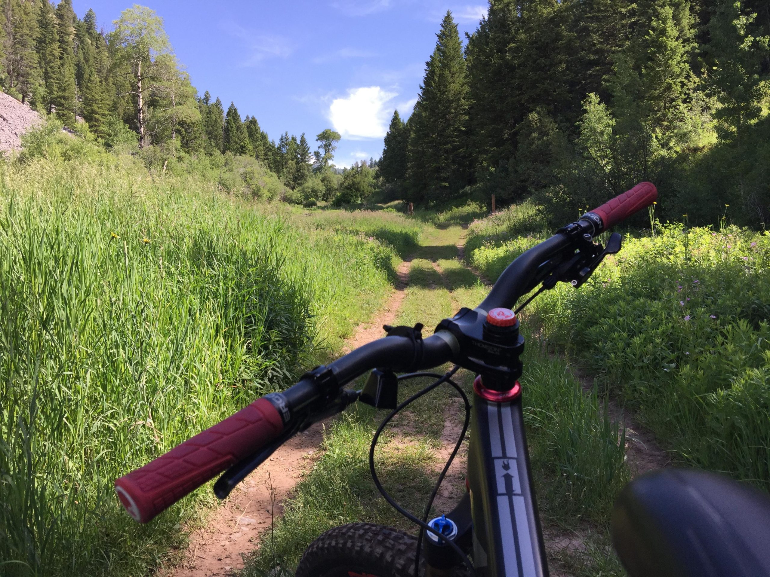 A mountain bike's handlebars are in the foreground, with a lush, green trail ahead surrounded by tall grass and trees. The clear blue sky includes a few fluffy clouds, suggesting a sunny day ideal for outdoor activities. Cache Creek - Game Creek Loop mountain bike trail.