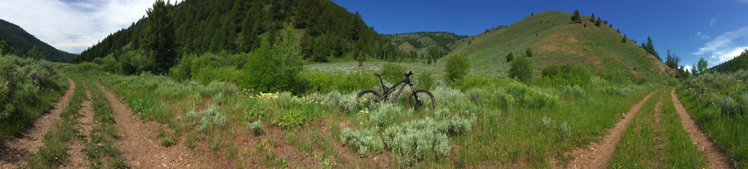 A panoramic view of a serene, green valley with dirt paths for mountain biking. A mountain bike is positioned amidst lush grass and wildflowers, with rolling hills and forested areas in the background under a clear blue sky. Cache Creek - Game Creek Loop mountain bike trail.