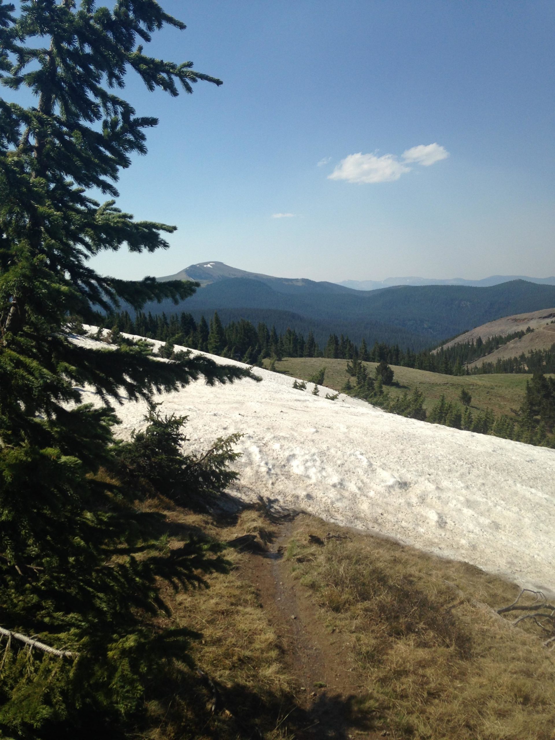 A scenic mountain landscape featuring a foreground of green pine trees, with a snow-covered slope and distant mountains under a clear blue sky. The image captures a natural trail leading into the wilderness. Northside At Taos Ski Valley mountain bike trail.