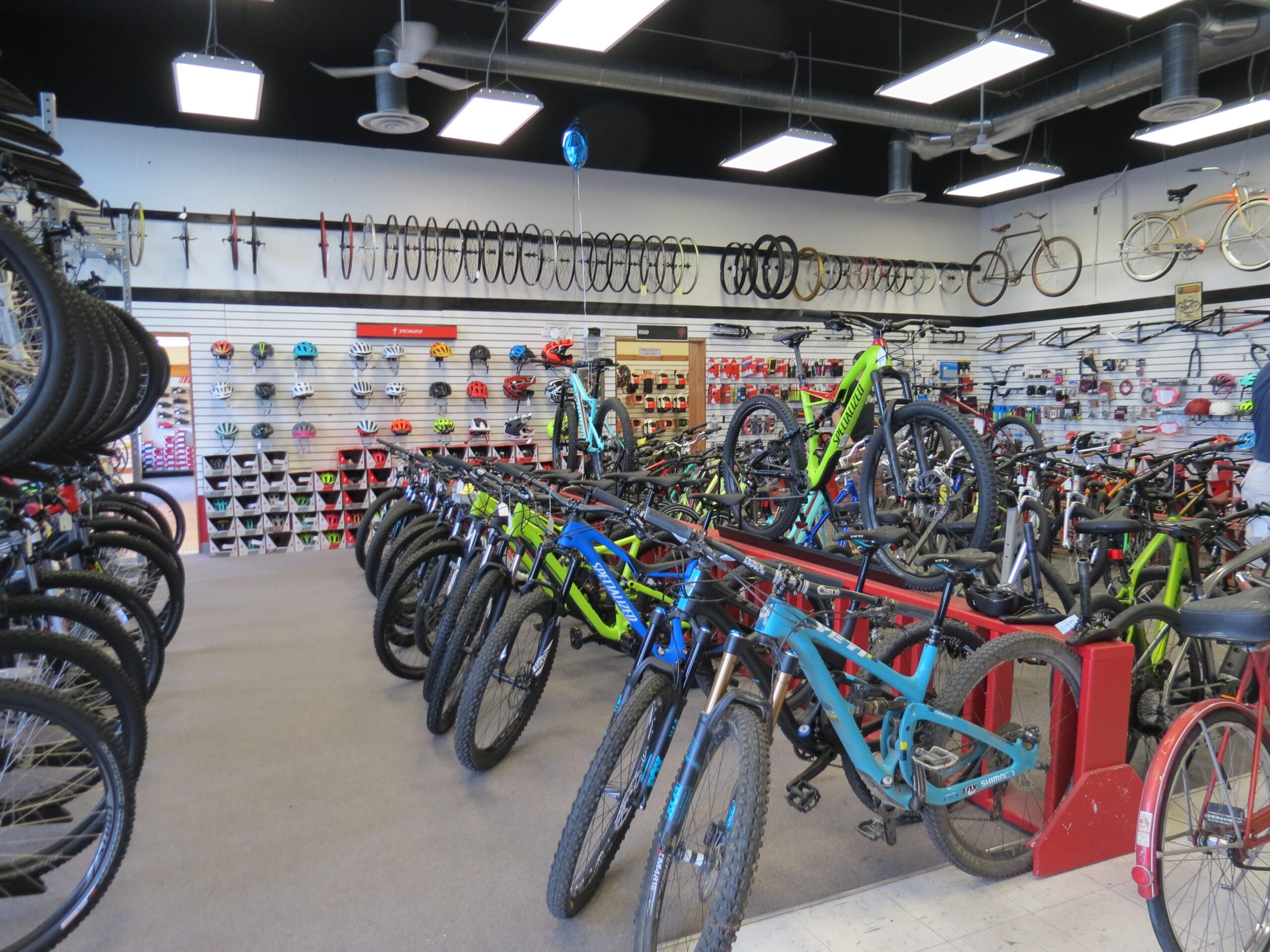 Interior view of a bike shop featuring rows of various bicycles, including mountain bikes and road bikes, displayed prominently. The walls are lined with bike tires and helmets in different colors, while bicycle accessories are neatly arranged on shelves. The shop has a clean and organized layout with bright lighting.