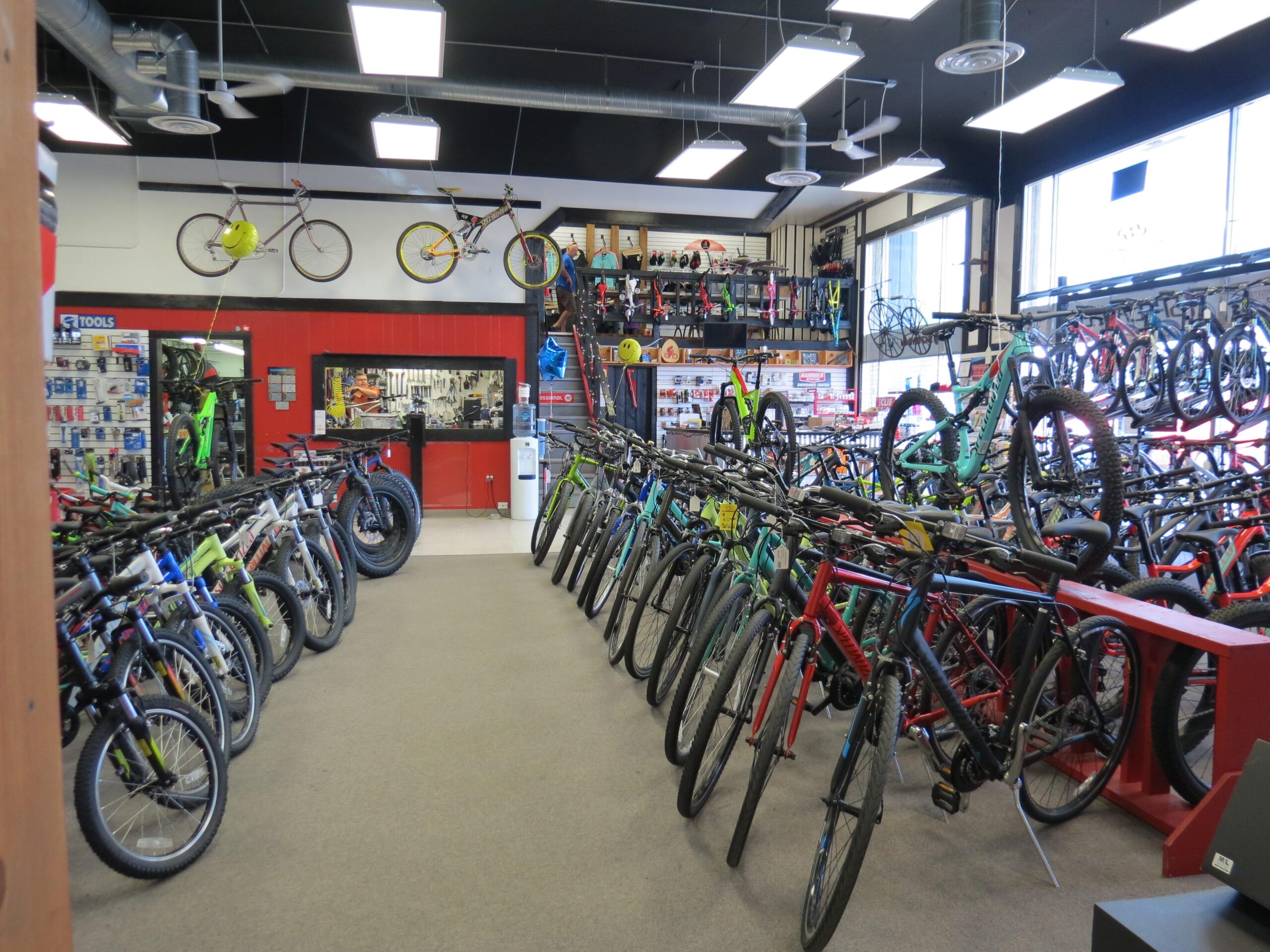 Alt text: Interior of a bicycle shop showcasing a variety of bicycles in different colors and styles, with some hanging from the ceiling. The shop features displays of bike accessories and tools along the walls, and natural light coming through large windows.
