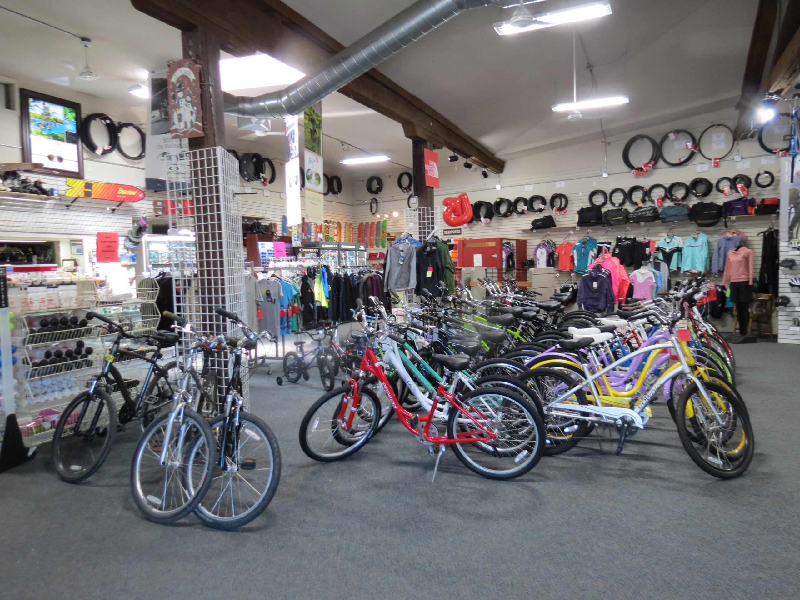 Interior of a bicycle store featuring a variety of bikes, including colorful cruiser bikes and mountain bikes. The store also displays a selection of cycling apparel and accessories on shelves, with signs and merchandise visible throughout the space. The flooring is carpeted, and there are racks holding various bike tires in the background.