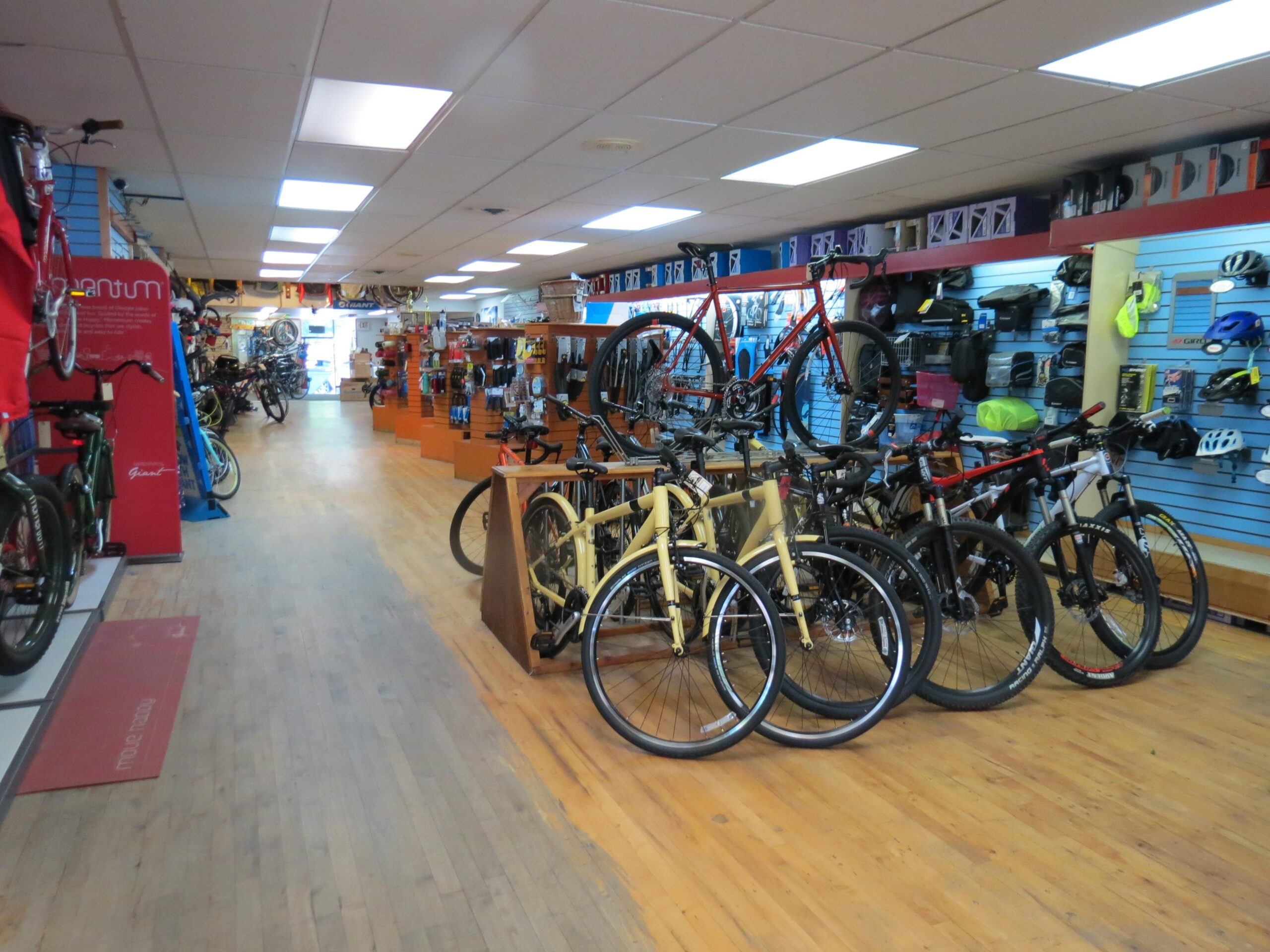 A view of a bicycle shop interior featuring a wooden floor and bright lighting. The shop displays various bicycles lined up along the sides, along with cycling accessories on shelves and racks. In the background, a welcoming entrance is visible, inviting customers inside.