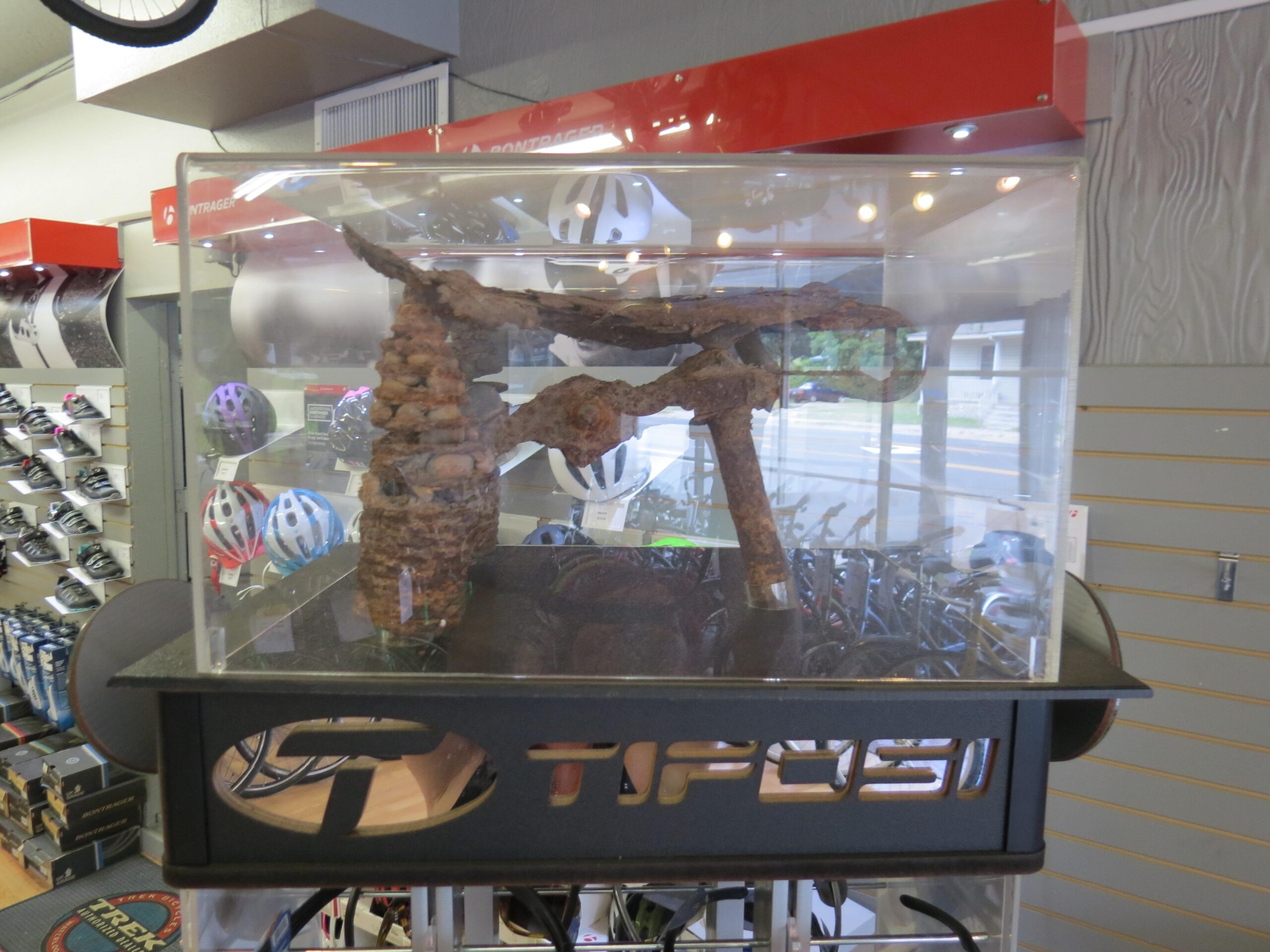 A display case featuring a piece of driftwood or a rustic wooden sculpture inside, located in a bike shop. The background shows various cycling helmets and bicycles, with branding visible on the display base.
