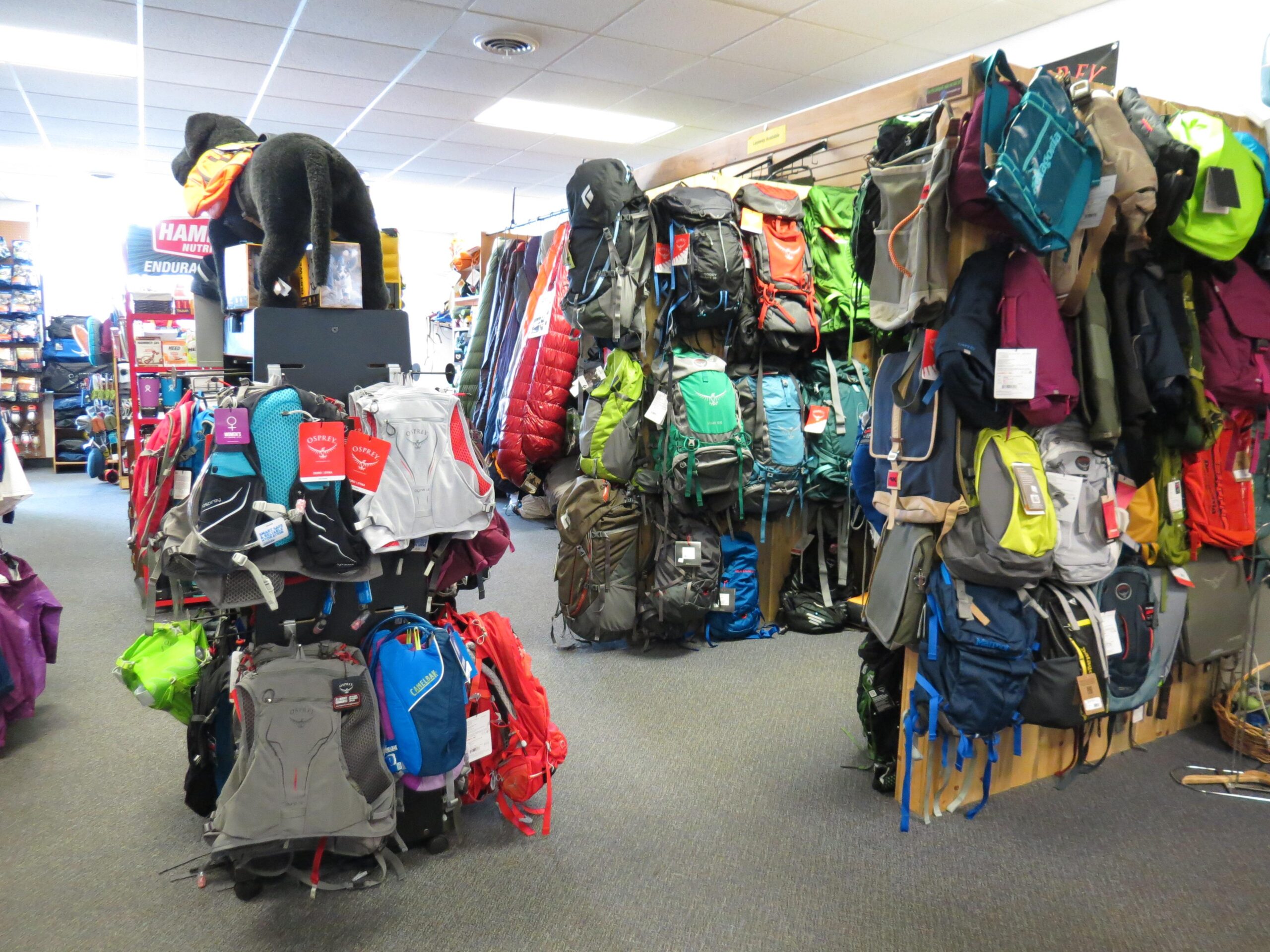 A view of an outdoor gear store showcasing a variety of backpacks displayed on walls and stands, with colorful options arranged neatly. A large stuffed bear is positioned on top of a display unit, adding a playful element to the setting. The store's interior features bright lighting and a variety of camping products in the background.