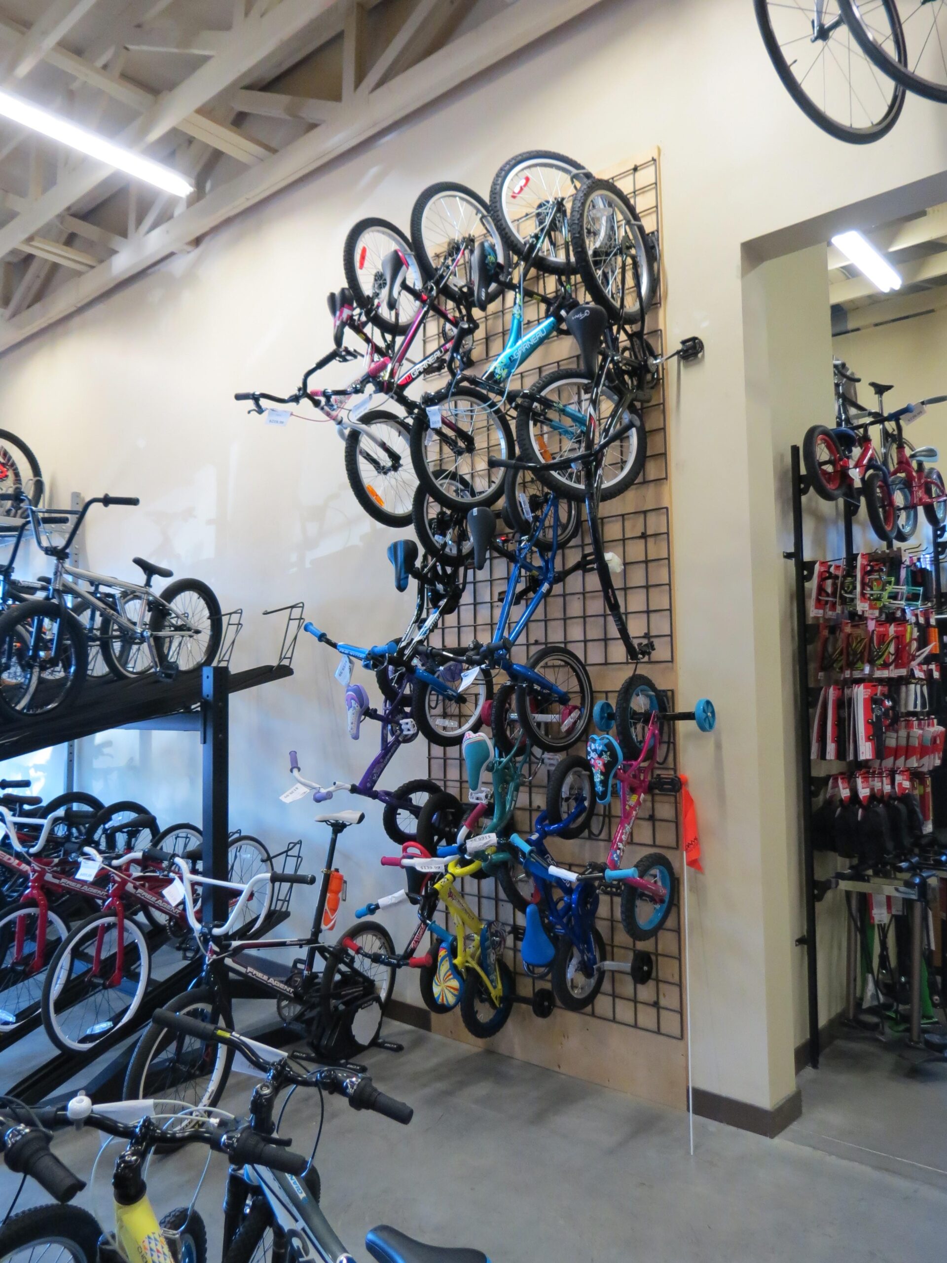 A wall display in a bicycle shop featuring an arrangement of various bikes and children's bicycles hanging on a grid system. Surrounding the display, additional bikes are visible on racks, showcasing a variety of colors and styles.