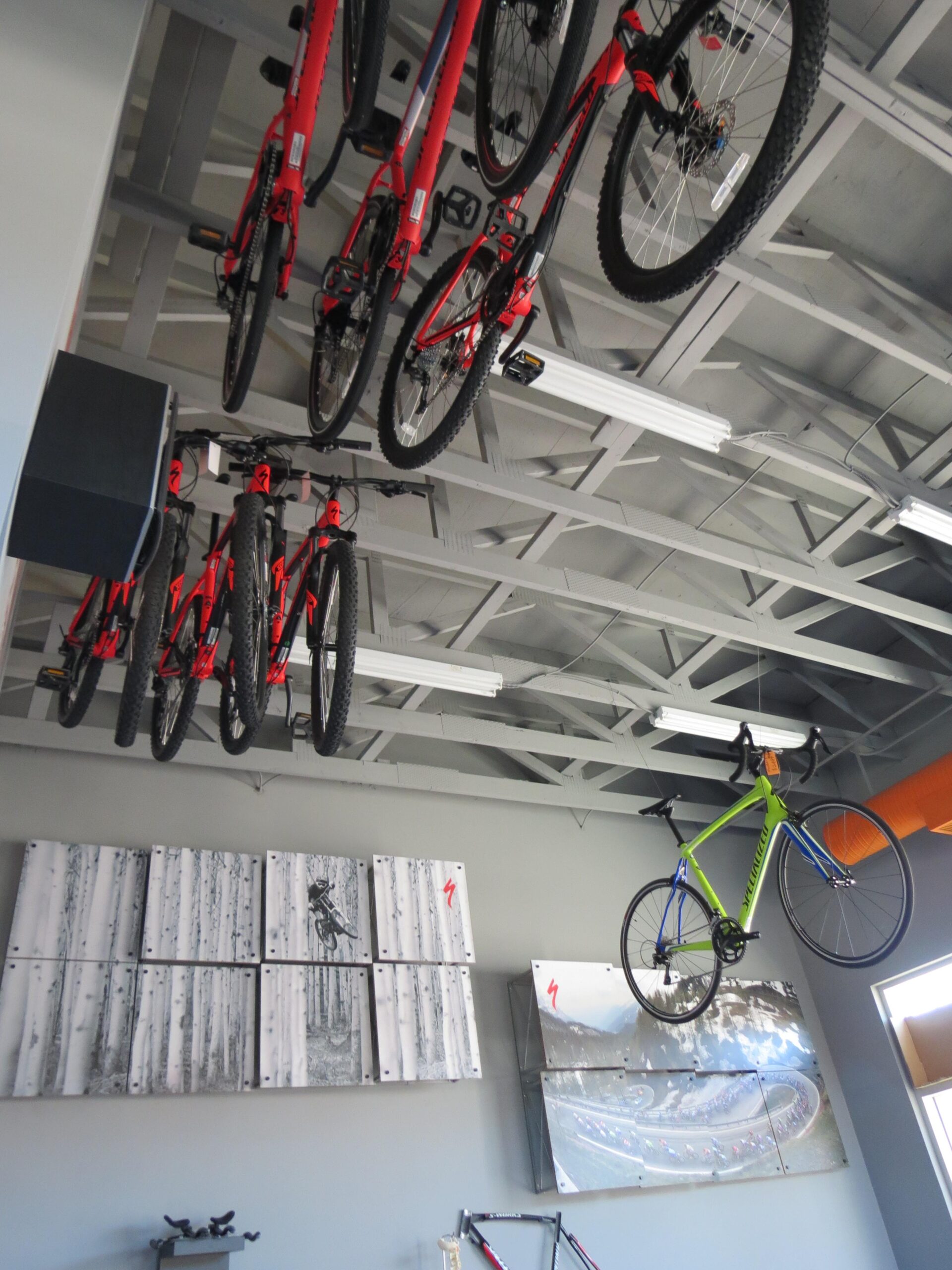 A modern bike shop interior featuring several red mountain bikes suspended from the ceiling. On the walls, there are artistic bike-themed images, including a black-and-white photo of a cyclist in a forest and colorful displays featuring cycling scenery. Bright lighting illuminates the space, which has a sleek, contemporary design.