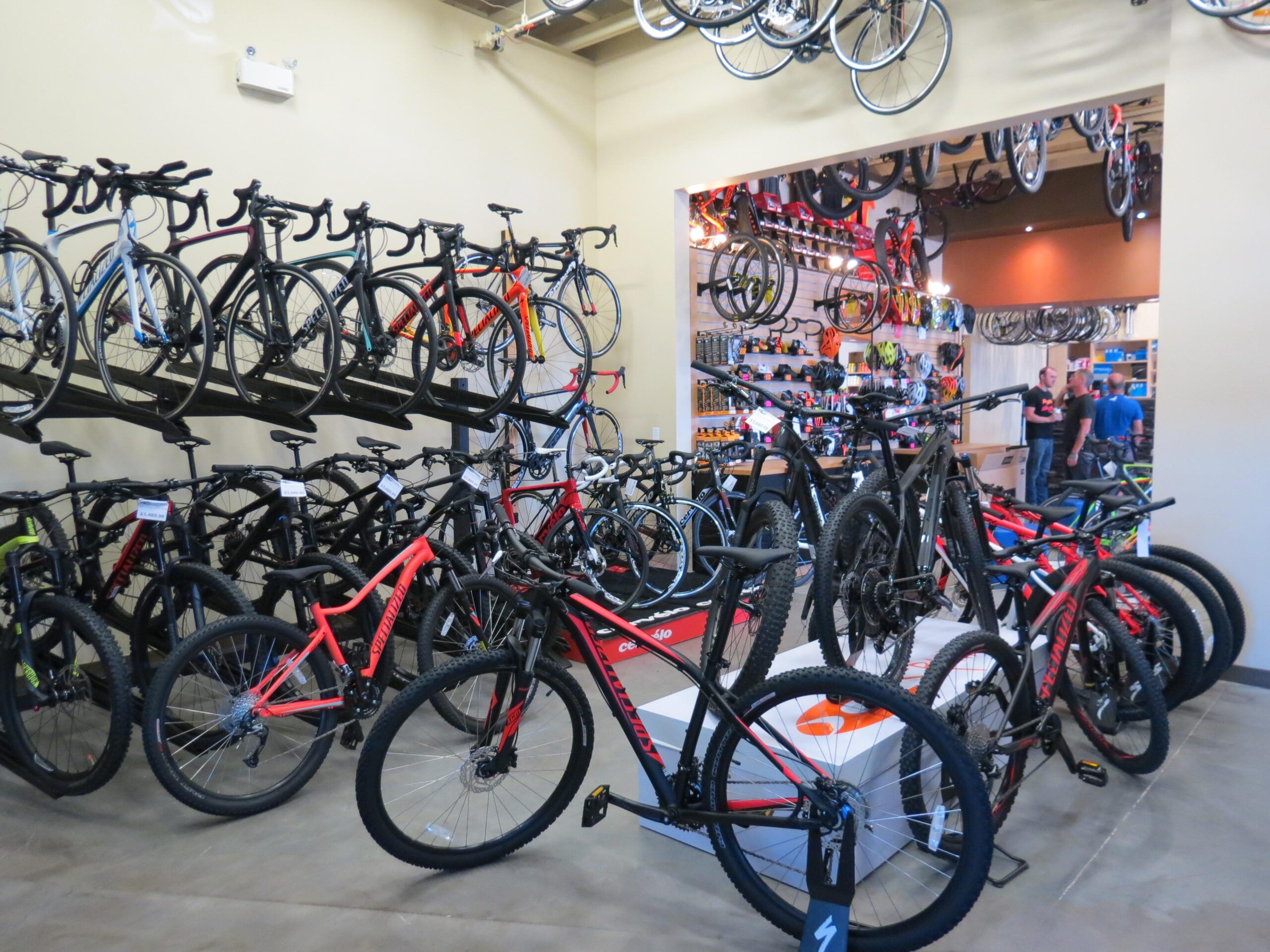 A vibrant bike shop interior featuring a variety of bicycles on display. The walls are lined with road and mountain bikes, with some prominently positioned on shelves. Additional bicycles are scattered throughout the store, showcasing different styles and colors, including red and black frames. The background contains racks of cycling accessories, while a few customers engage in conversation near the checkout area.