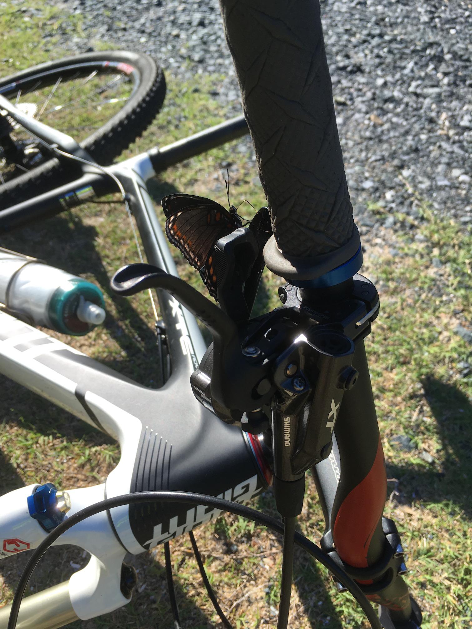 Giant XTC Composite 29er 1: A close-up view of a mountain bike's handlebar with a butterfly perched on the brake lever, surrounded by grass and gravel. The bike features a black and white frame, highlighted by details such as the Shimano components. Sunlight shines on the scene, creating a serene outdoor setting.