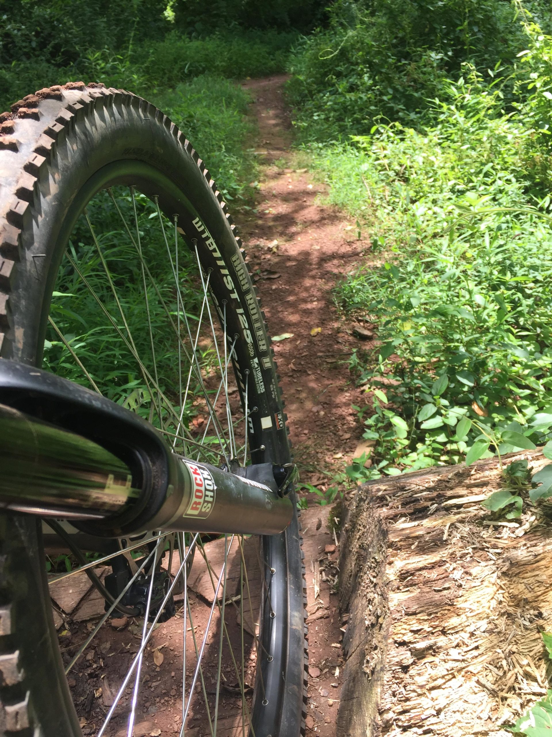 Close-up view of a mountain bike tire resting near a dirt trail surrounded by lush greenery. The wheel is positioned on a wooden log, highlighting the rugged terrain and outdoor setting. Sunlight filters through the trees, creating a natural ambiance perfect for biking. Six Mile Run mountain bike trail.