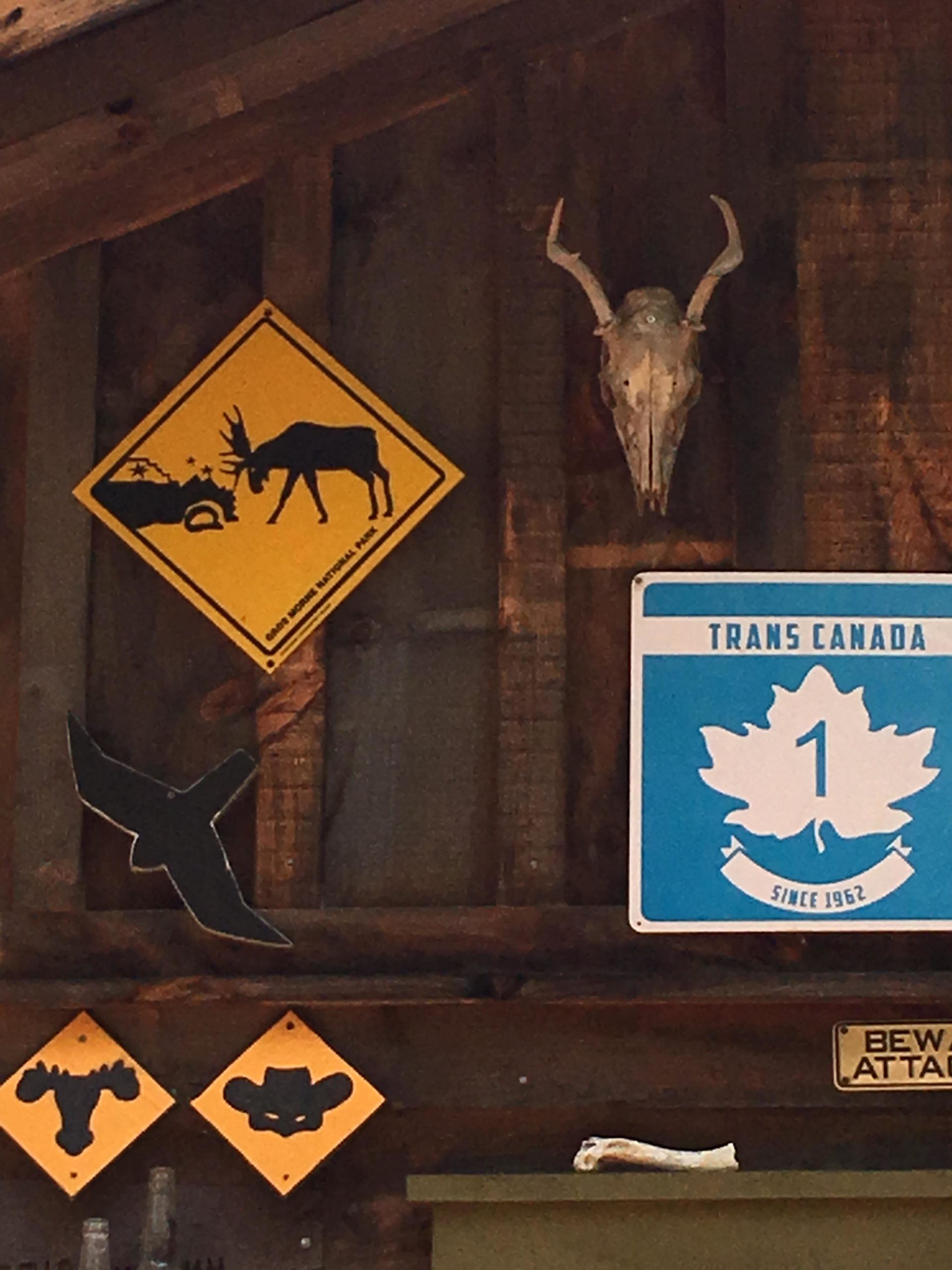 A wooden wall adorned with various signs and decorations, including a warning sign featuring a moose and a car, a blue sign for Trans Canada with a maple leaf, and silhouettes of wildlife such as a moose and a cowboy's hat. A skull with antlers is mounted above the signs, adding to the rustic decor. Buckwallow mountain bike trail.