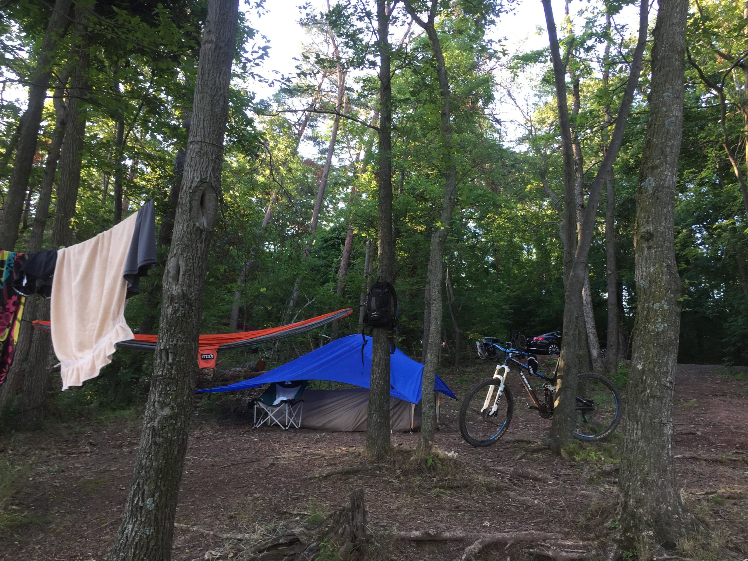 A serene campsite surrounded by trees, featuring a blue tent, a colorful hammock, and clothing drying on a line. A mountain bike is propped against a tree, and the setting showcases lush green foliage typical of a wooded area. Allegrippis Trails mountain bike trail.