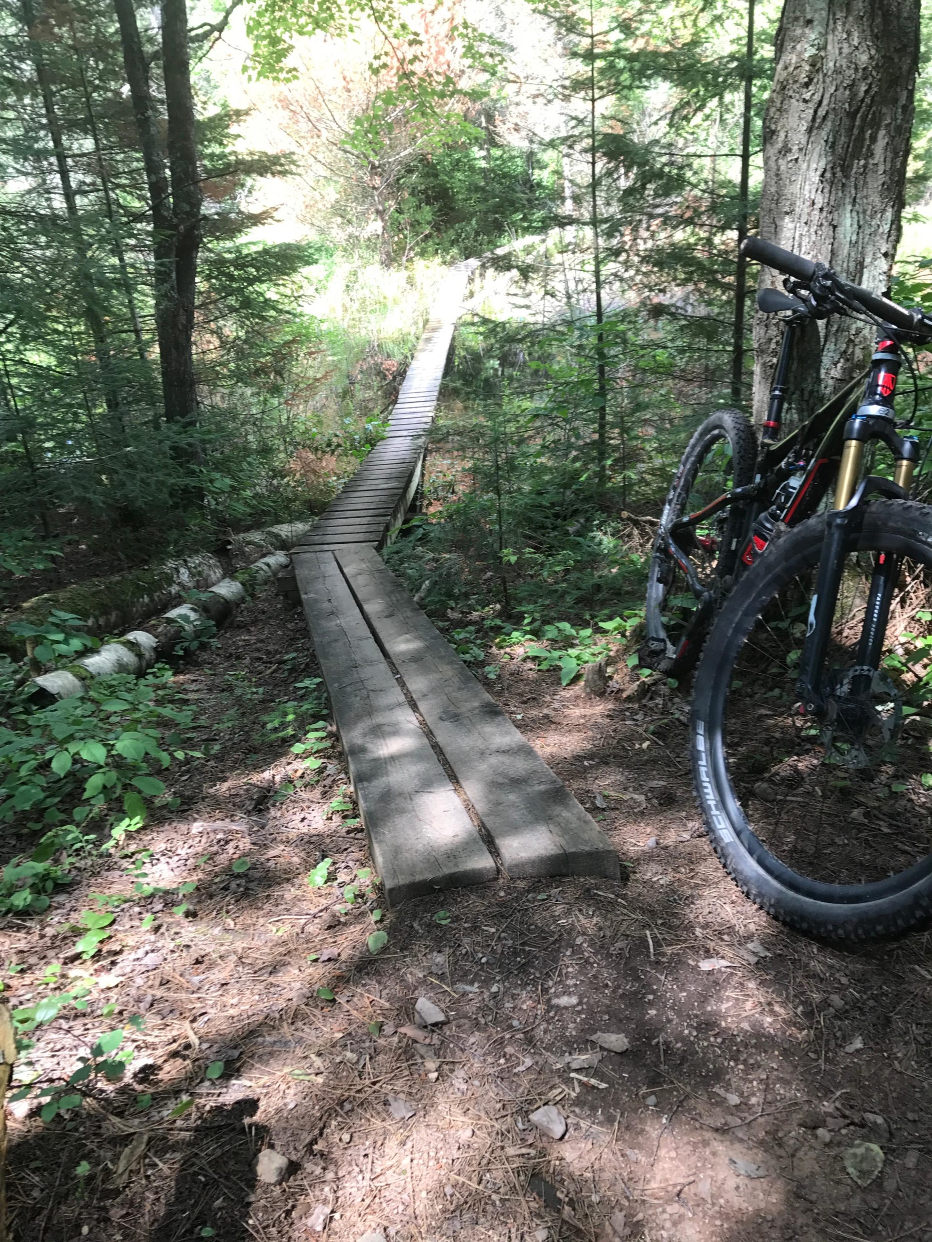 A narrow wooden bridge extends through a forested area, leading towards a bright clearing in the background. To the right, a mountain bike rests against a tree, surrounded by lush green foliage and soft earth. Sunlight filters through the trees, creating dappled shadows on the ground. Rock Lake mountain bike trail.