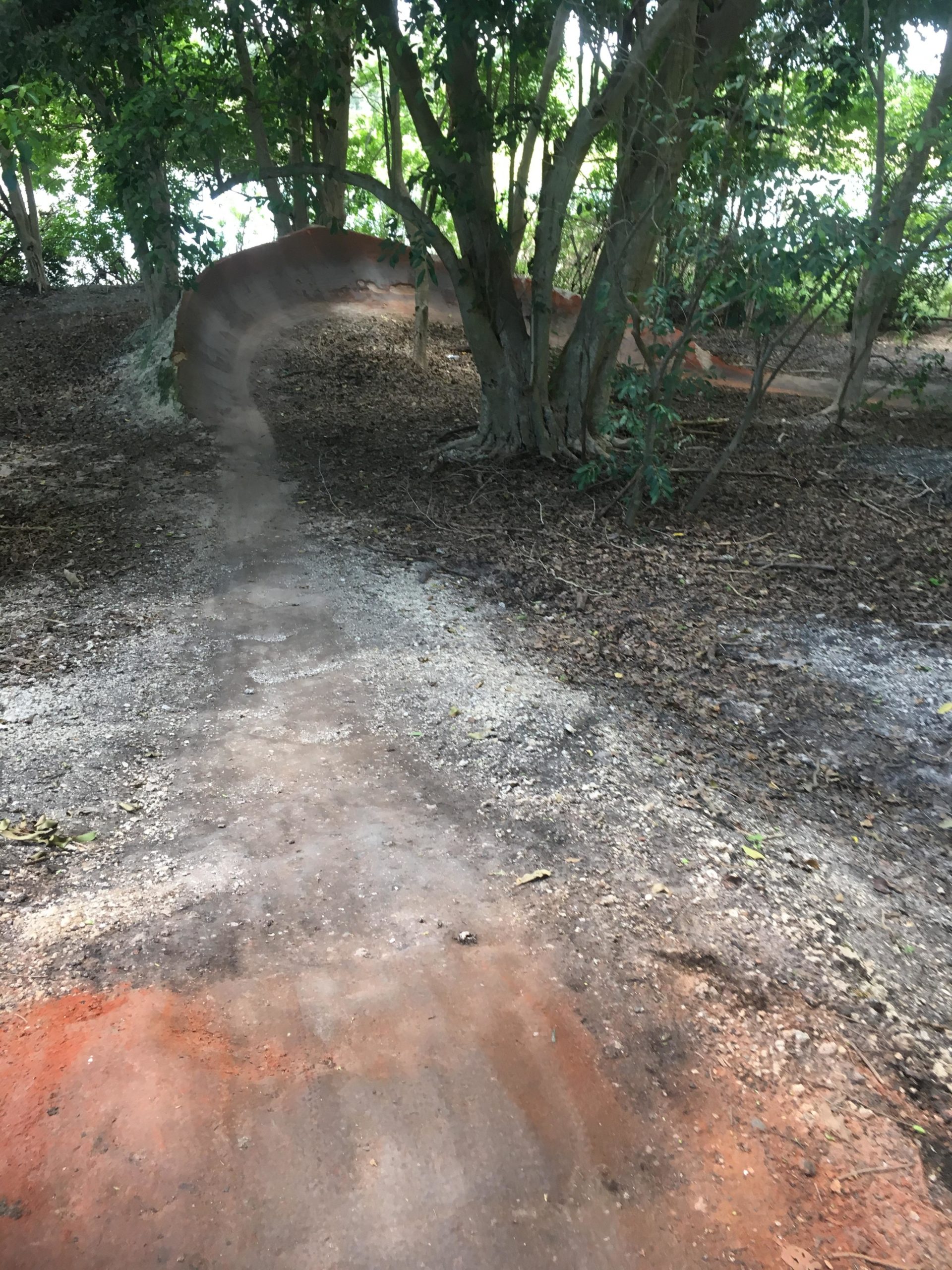 A winding dirt path curved through a wooded area, with trees surrounding the trail and scattered leaves on the ground. The path has varying textures, including smooth and rough patches, and there are hints of reddish soil along the edges. Markham Park mountain bike trail.