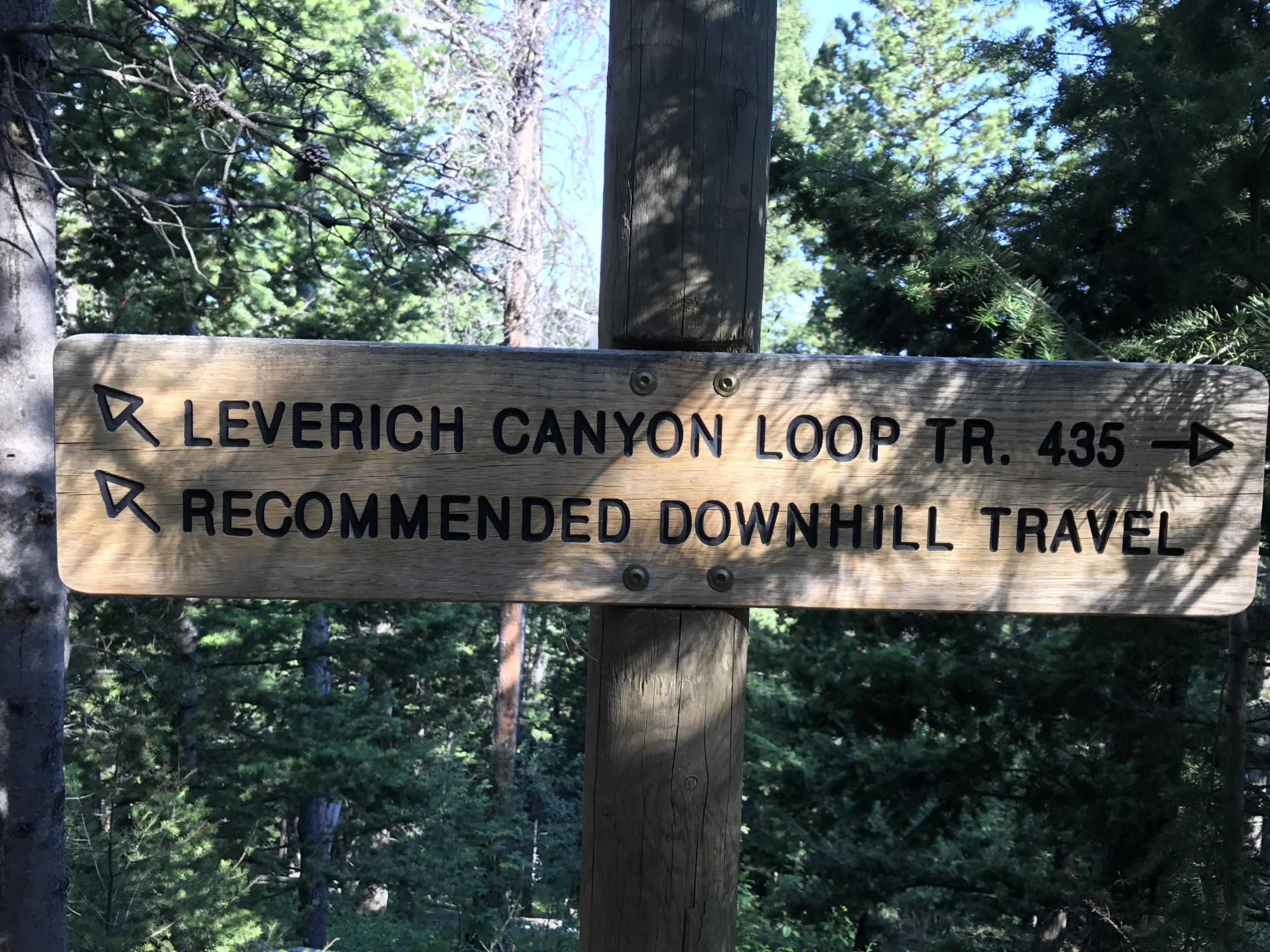 Wooden trail sign indicating directions to "Leverich Canyon Loop Tr. 435" with arrows pointing left and a note stating "Recommended Downhill Travel." The sign is set in a forested area with trees in the background. Leverich Trail mountain bike trail.