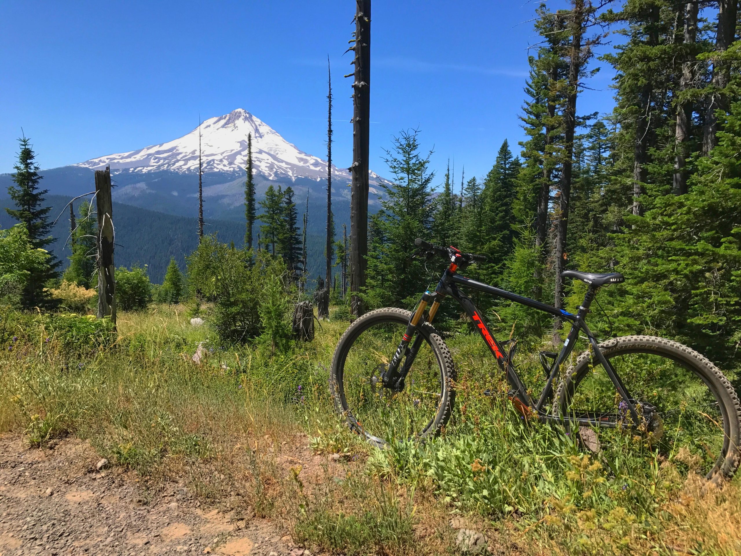 A mountain bike rests on a dirt path surrounded by lush green foliage and tall trees, with a snow-capped mountain in the background under a clear blue sky. Cooks Meadow Trail/ #639 mountain bike trail.